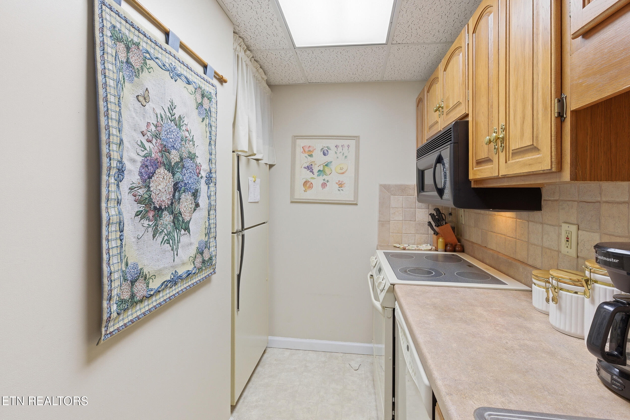 102 Baskins Creek Bypass Gatlinburg TN 37738
