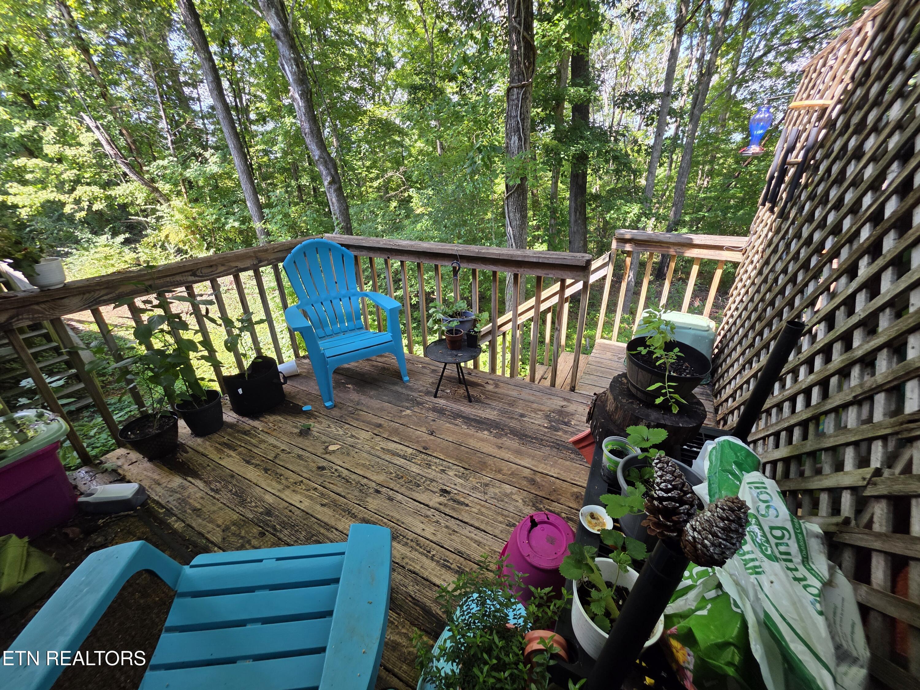 113 High Point Lane Oak Ridge TN 37830