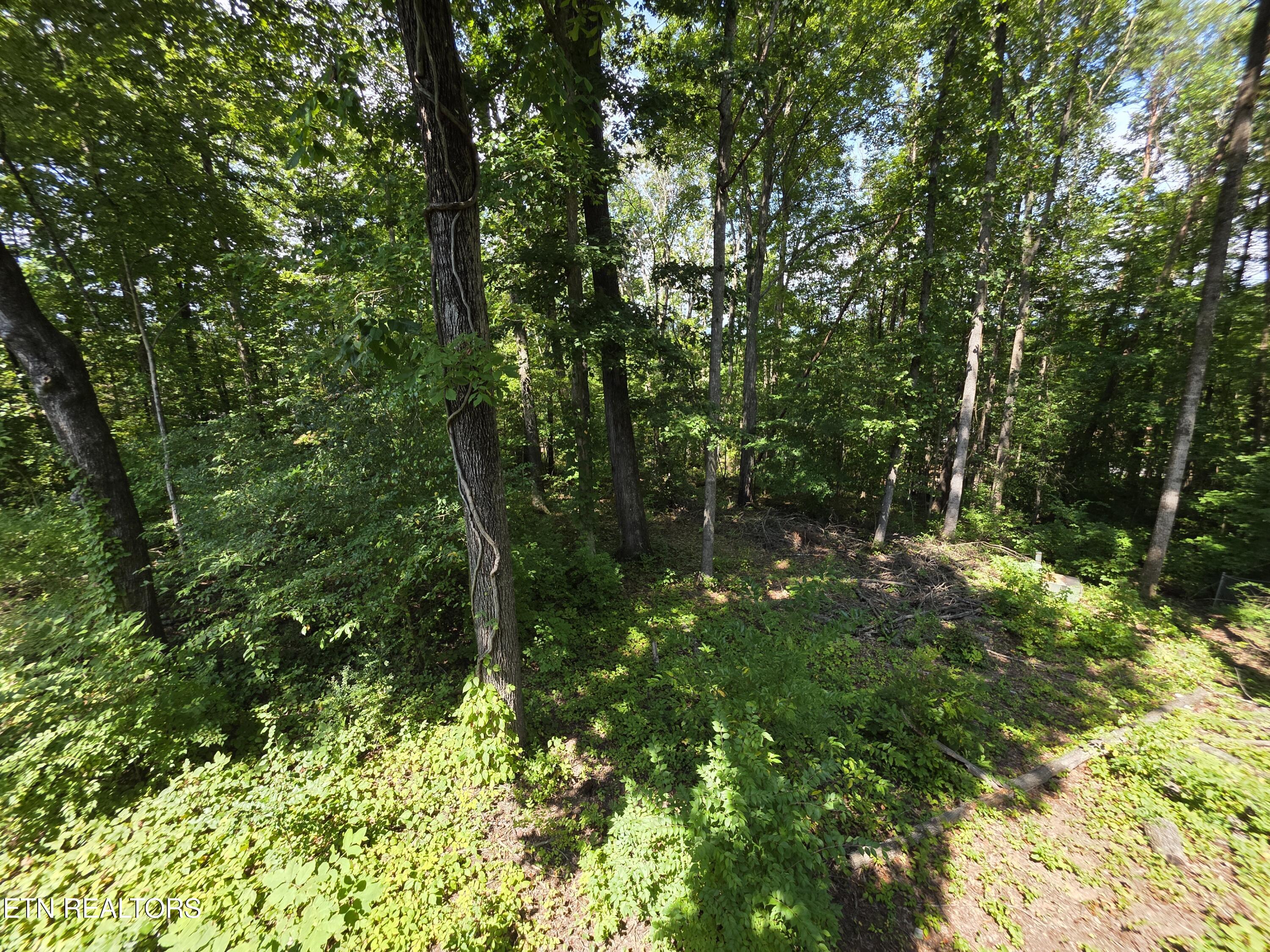 113 High Point Lane Oak Ridge TN 37830
