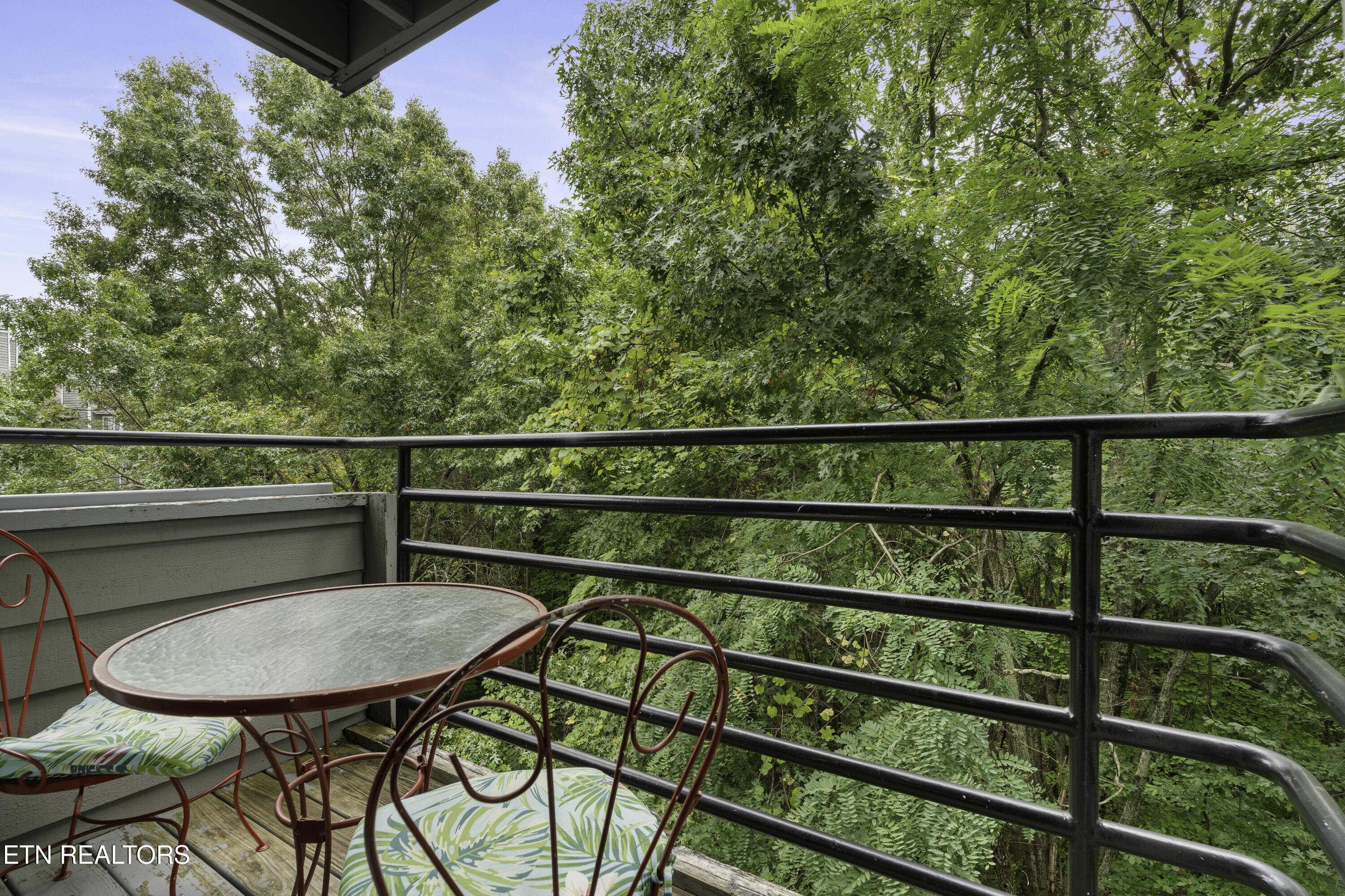 1260 Ski View Drive Gatlinburg TN 37738