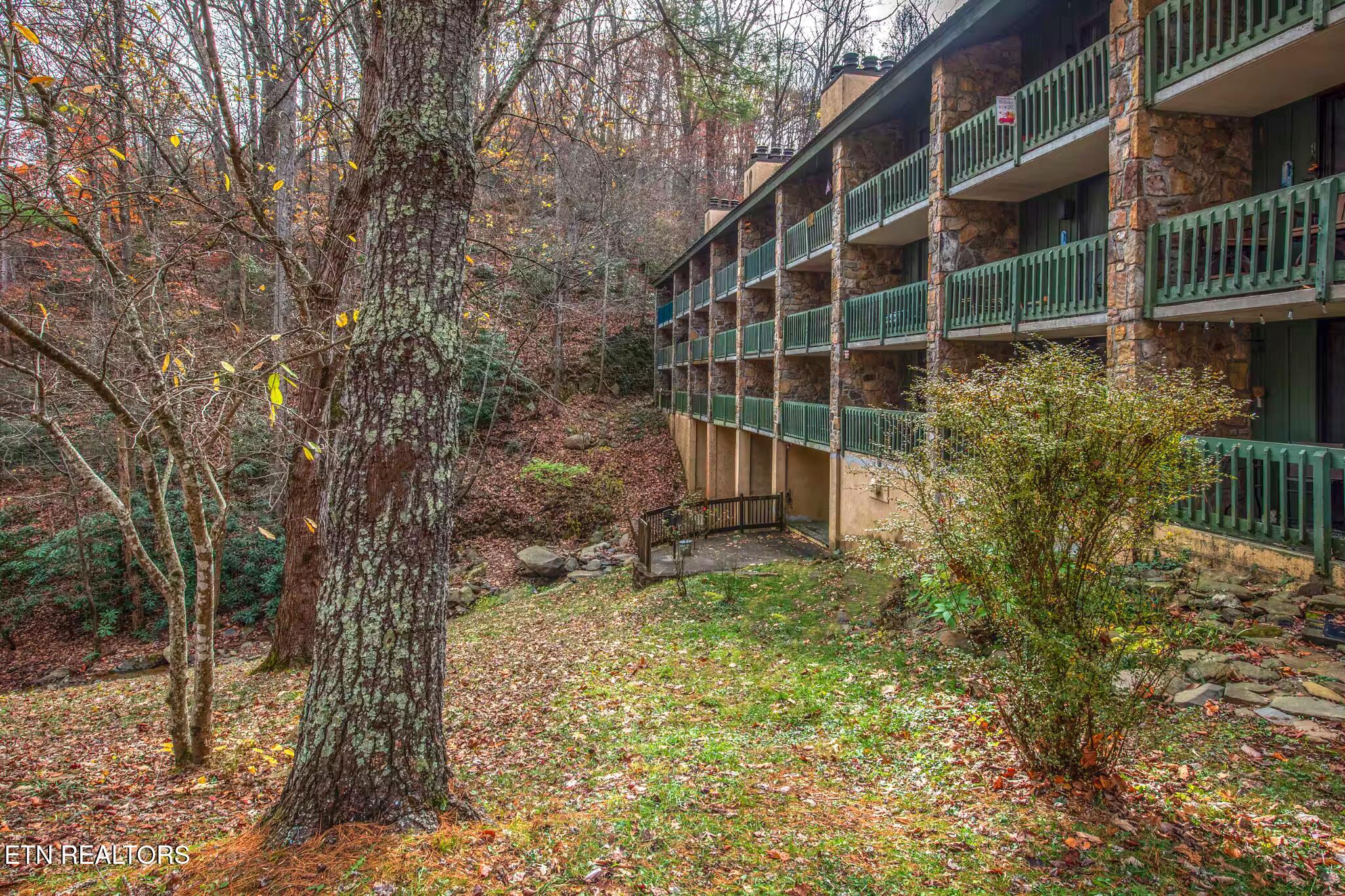 1435 Wiley Oakley Drive Gatlinburg TN 37738