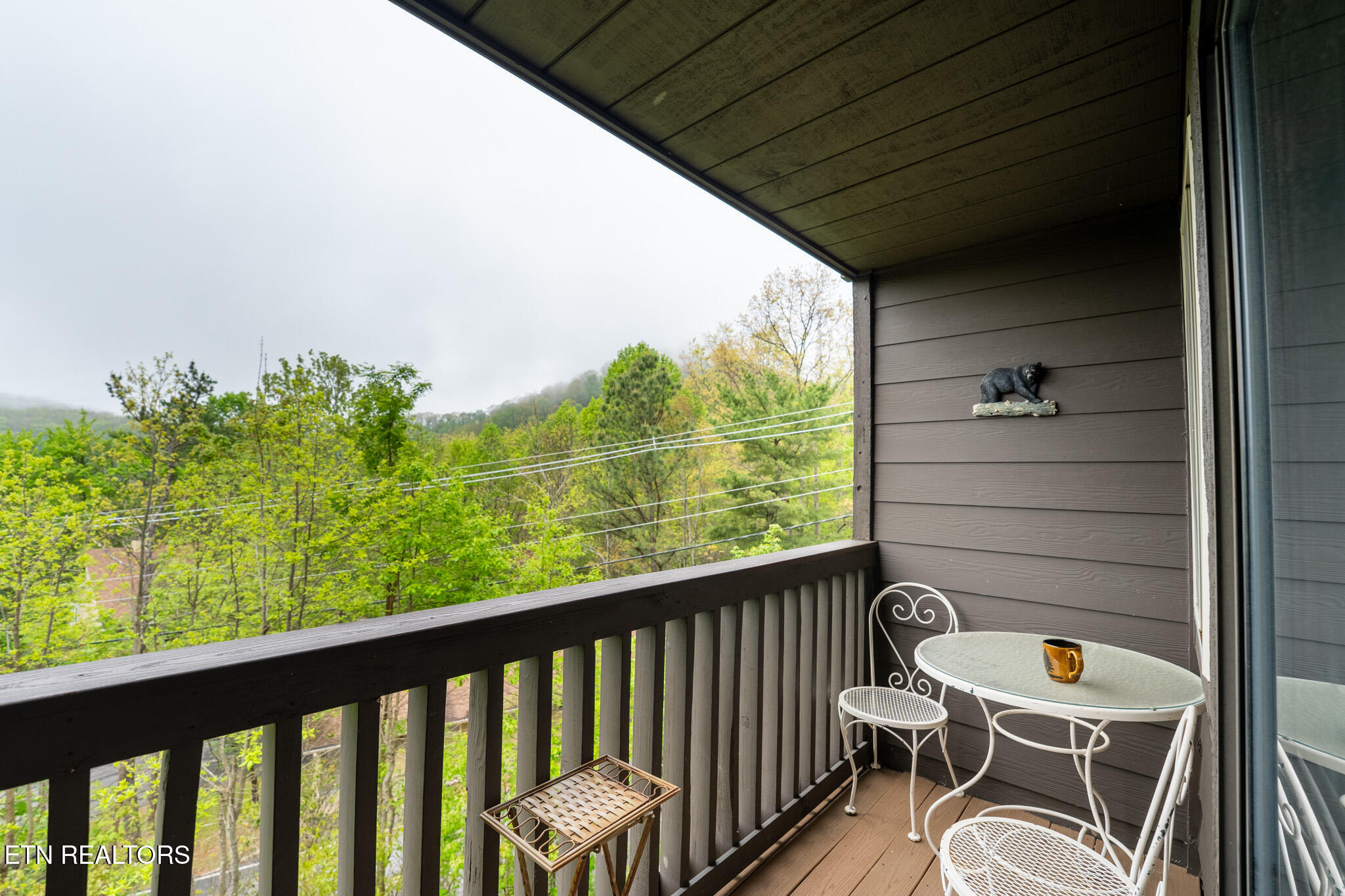 1380 Ski View Drive Gatlinburg TN 37738