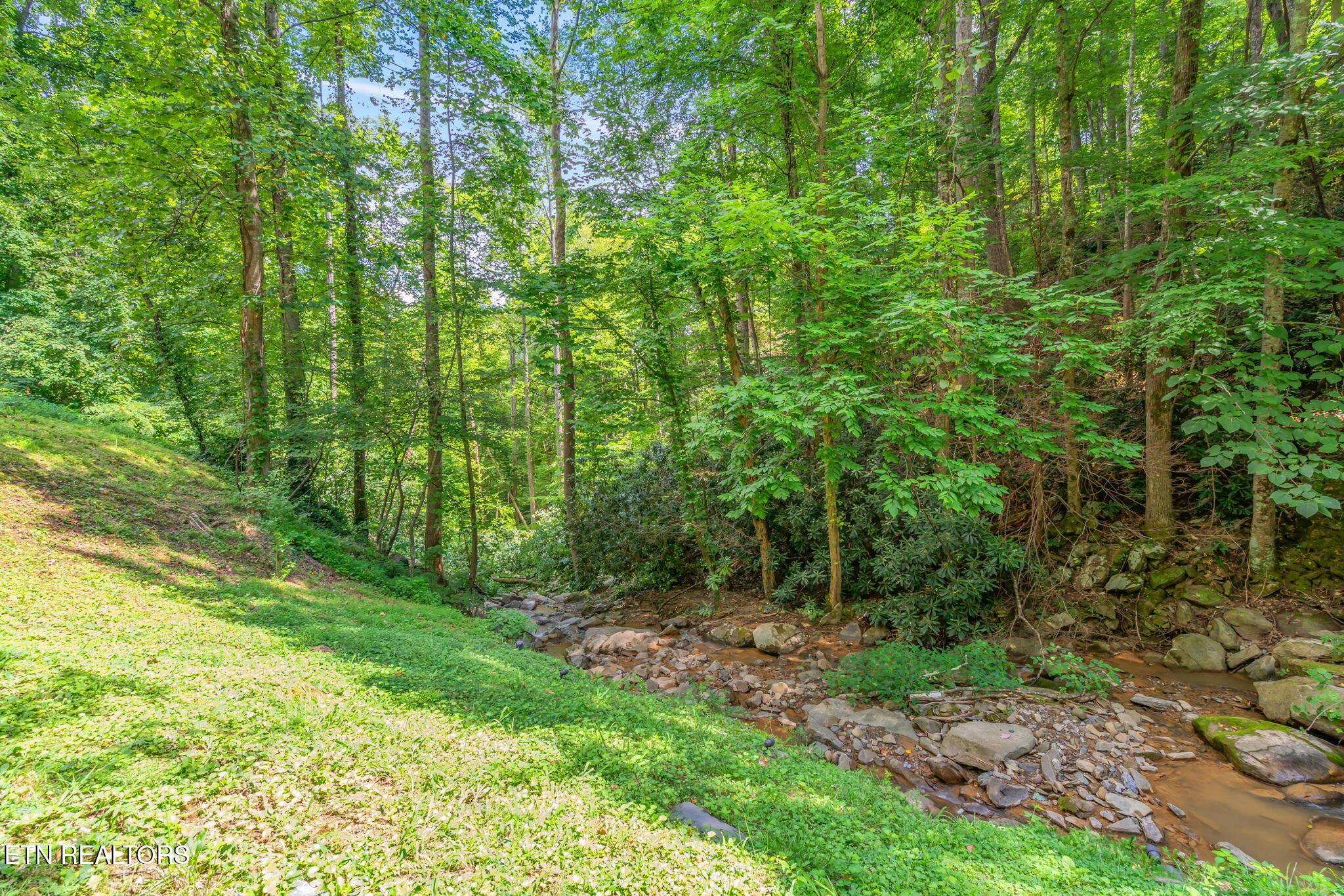 1435 Wiley Oakley Drive Gatlinburg TN 37738