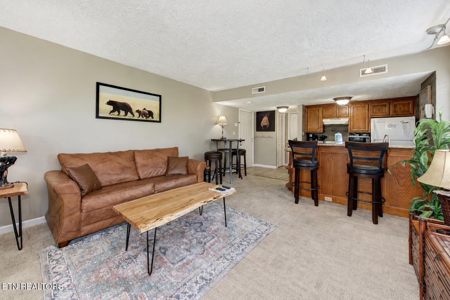 1380 Ski View Drive Gatlinburg TN 37738