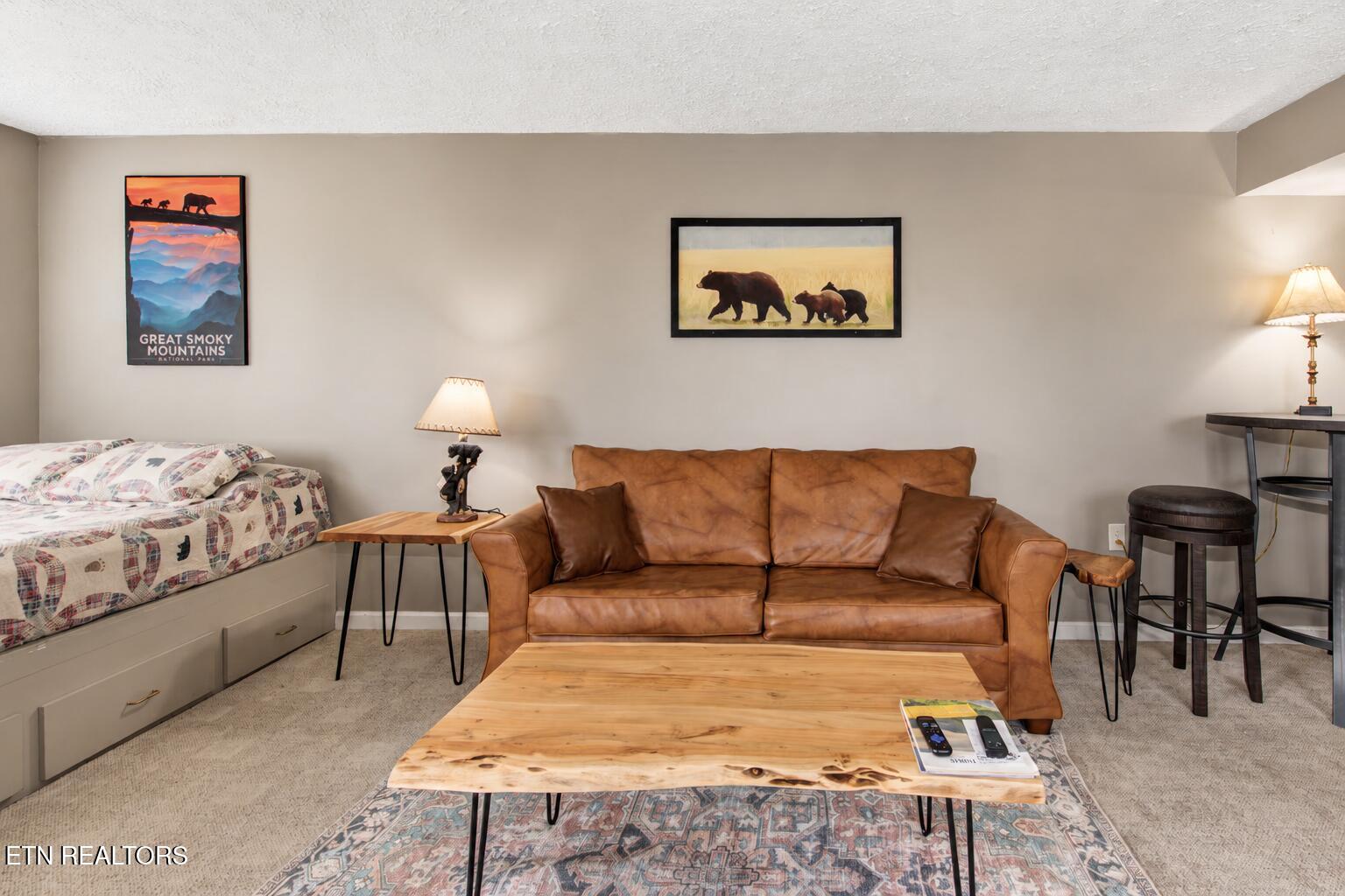1380 Ski View Drive Gatlinburg TN 37738