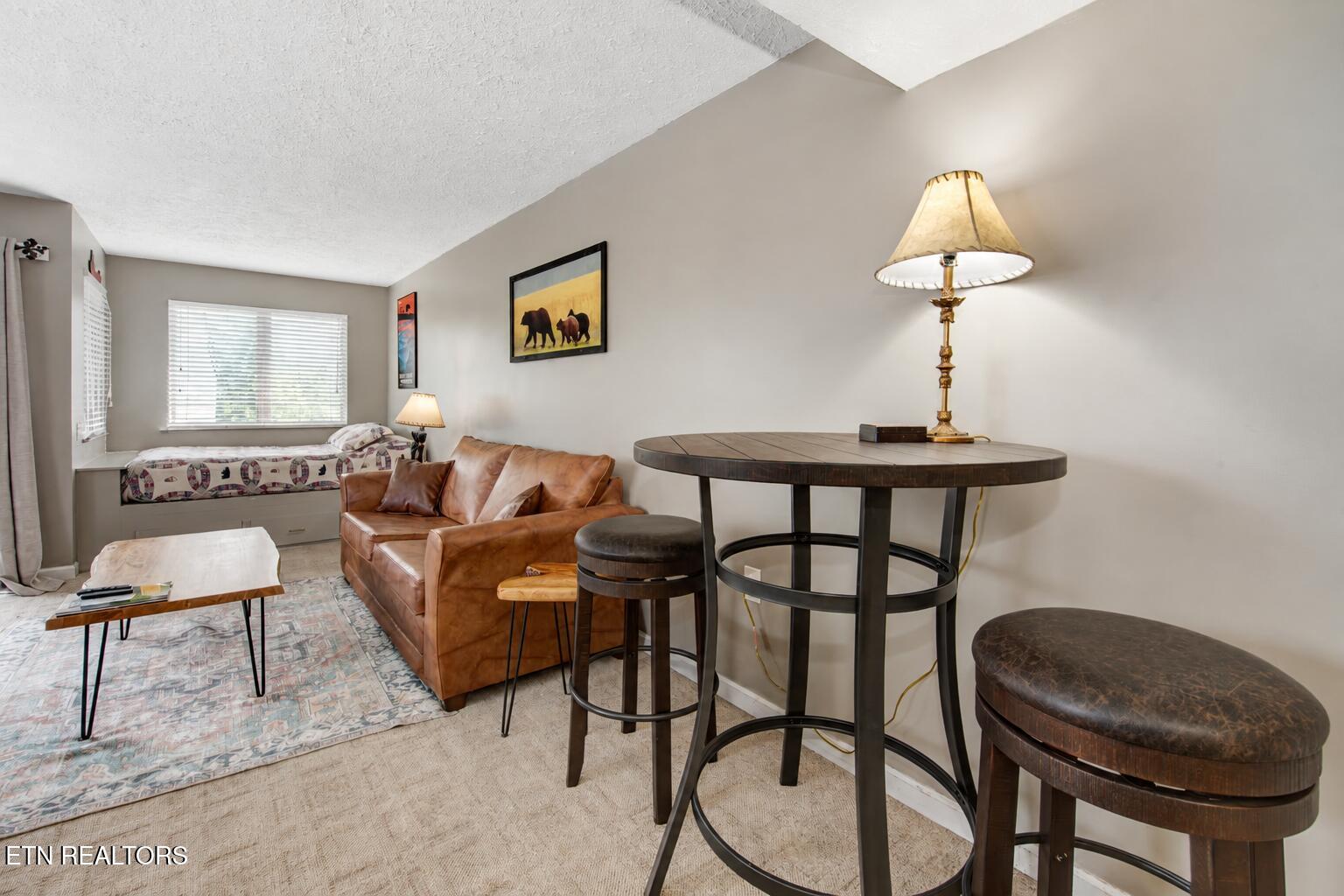 1380 Ski View Drive Gatlinburg TN 37738