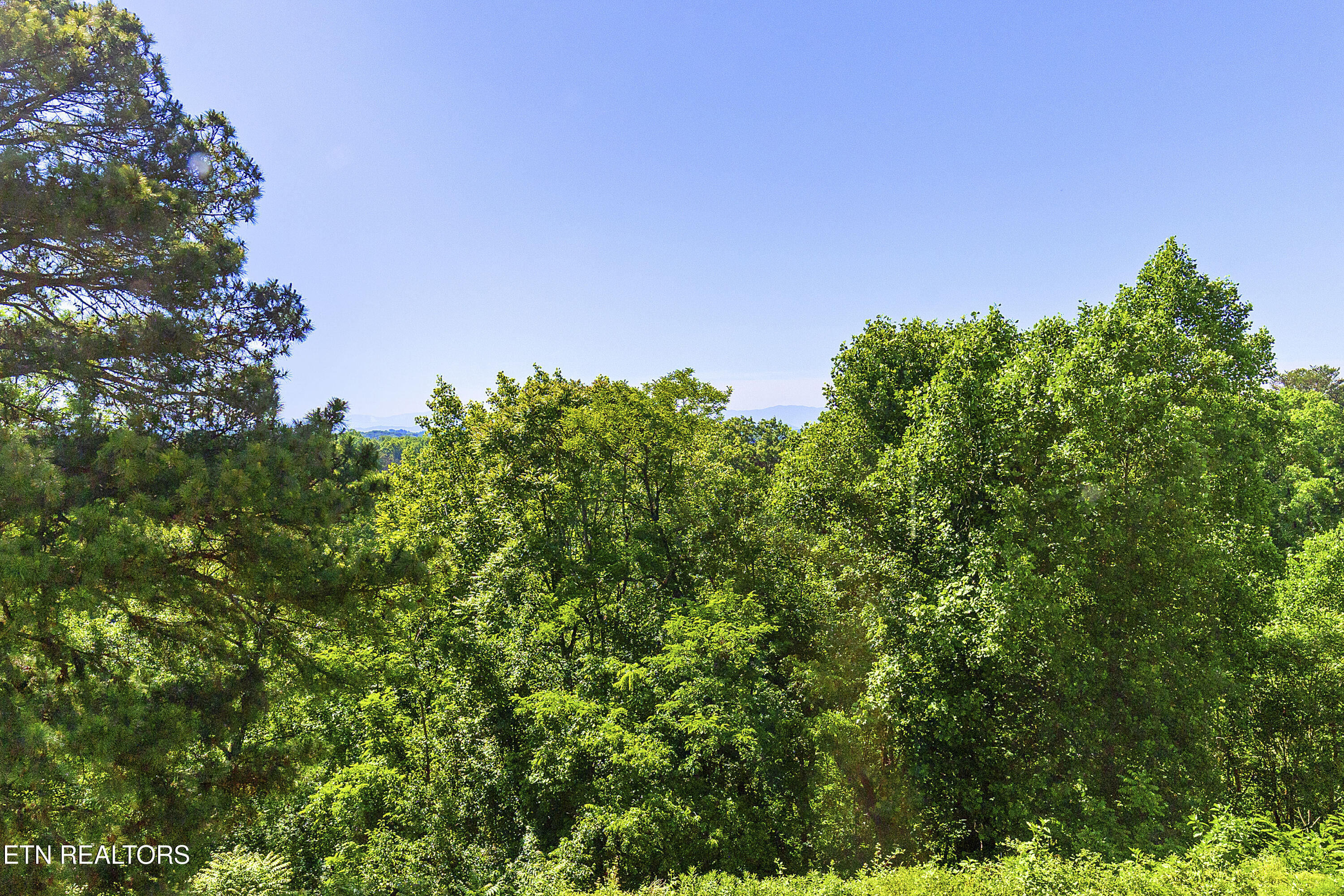 1954 Cherokee Bluff Drive Knoxville TN 37920