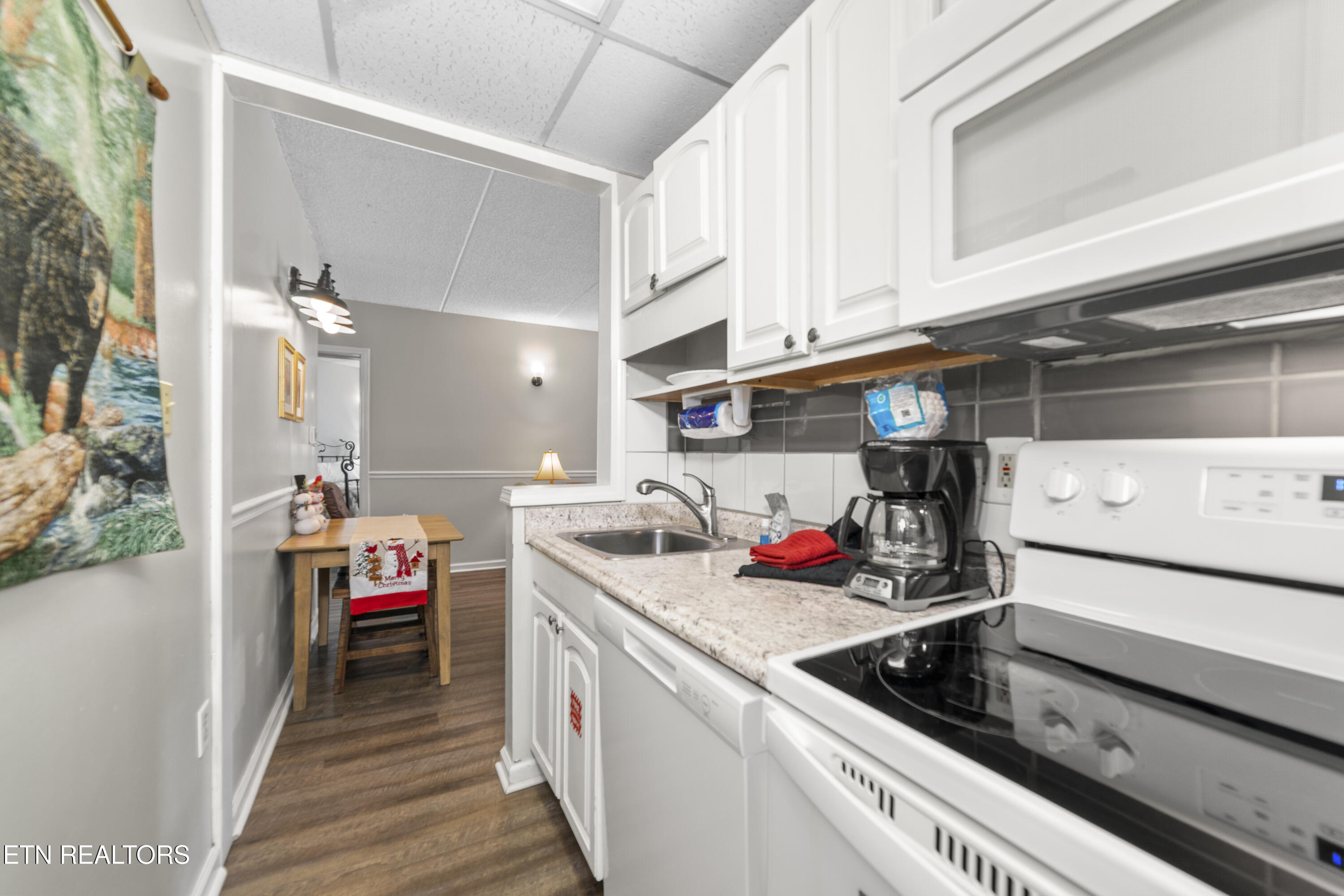 102 Baskins Creek Bypass Gatlinburg TN 37738
