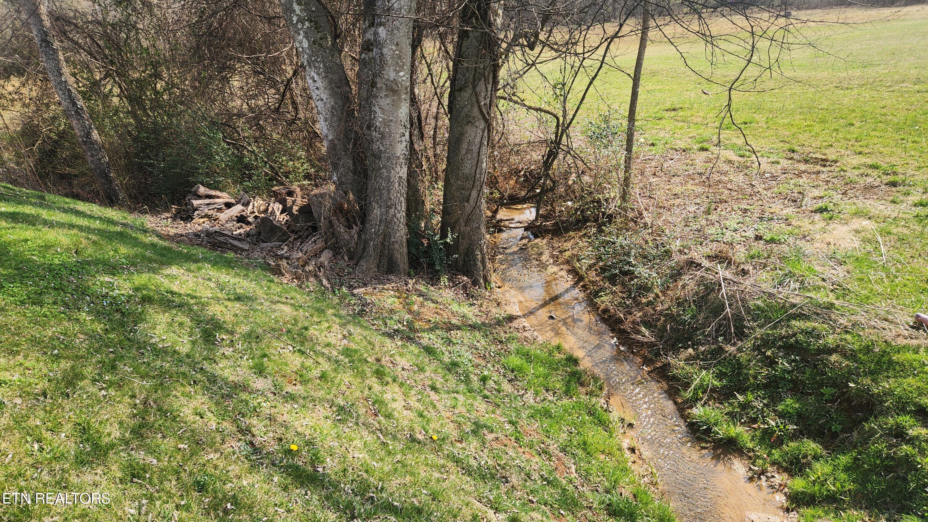261 Dumplin Lane Kodak TN 37764