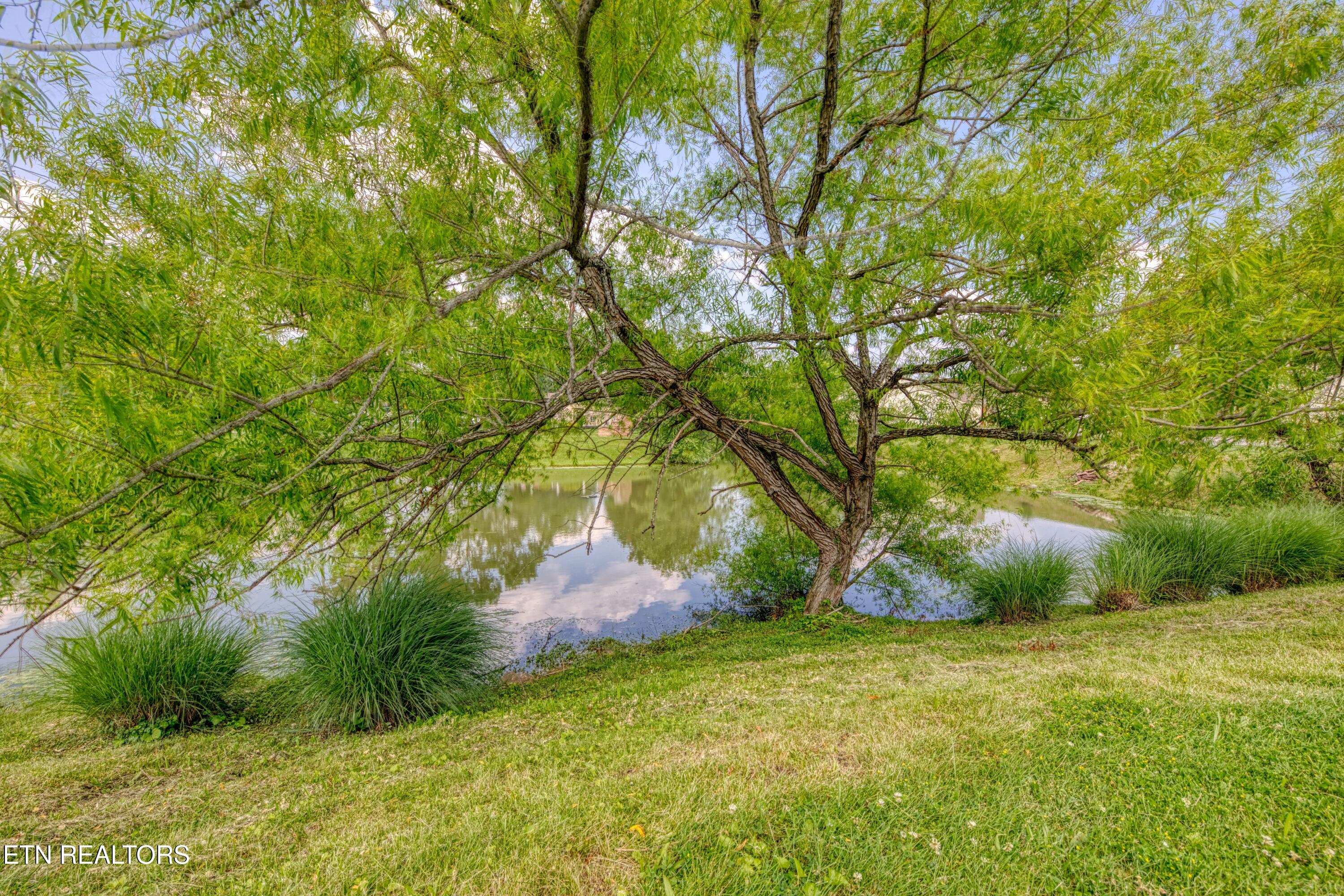 674 Applegate Lane Knoxville TN 37934
