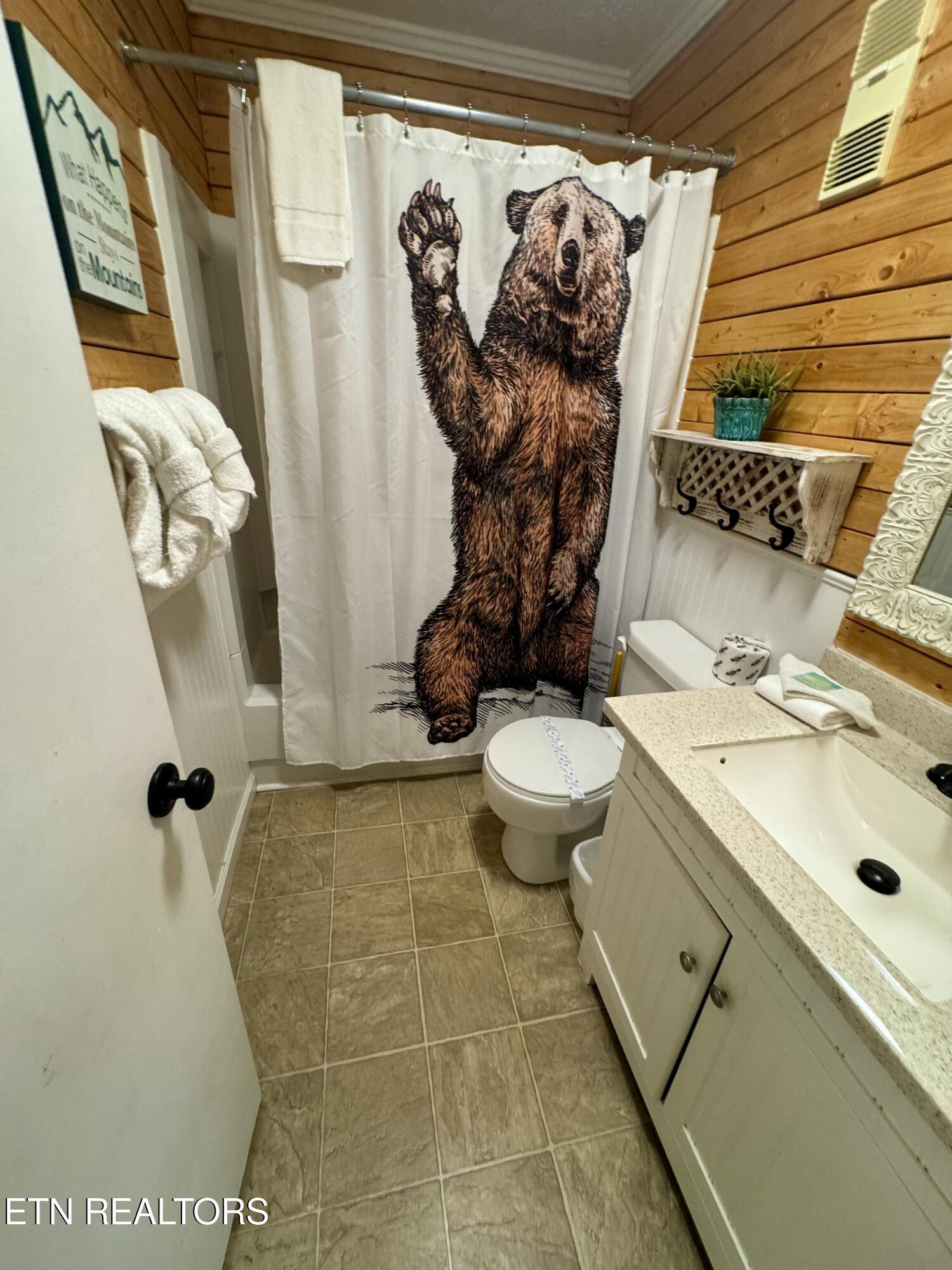 1102 Ski View Drive Gatlinburg TN 37738