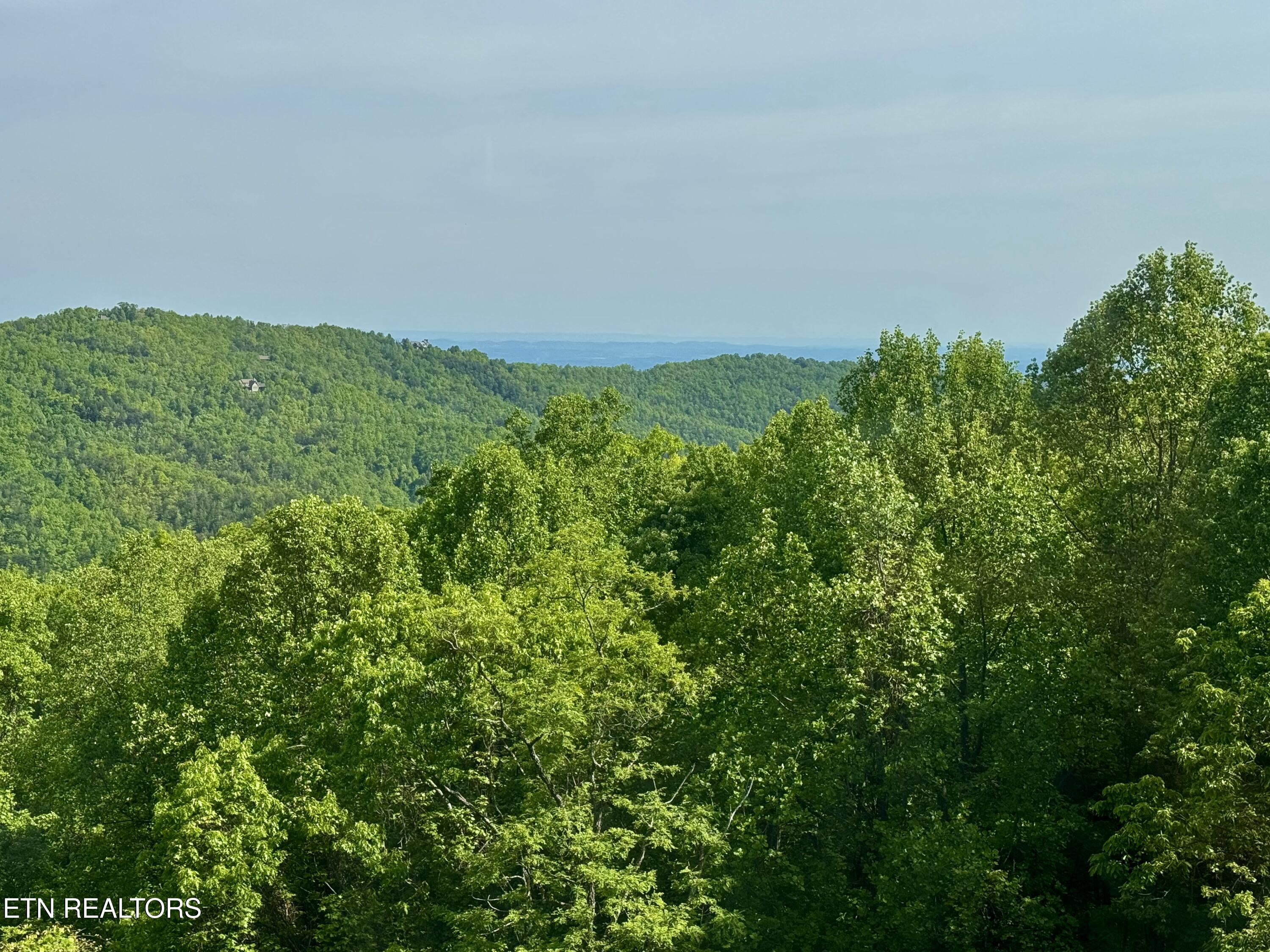 1102 Ski View Drive Gatlinburg TN 37738
