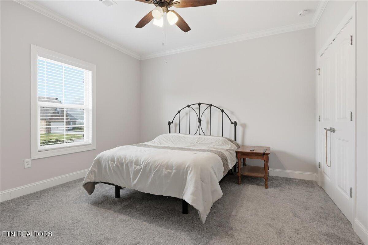 7434 Willow Path Lane Knoxville TN 37918