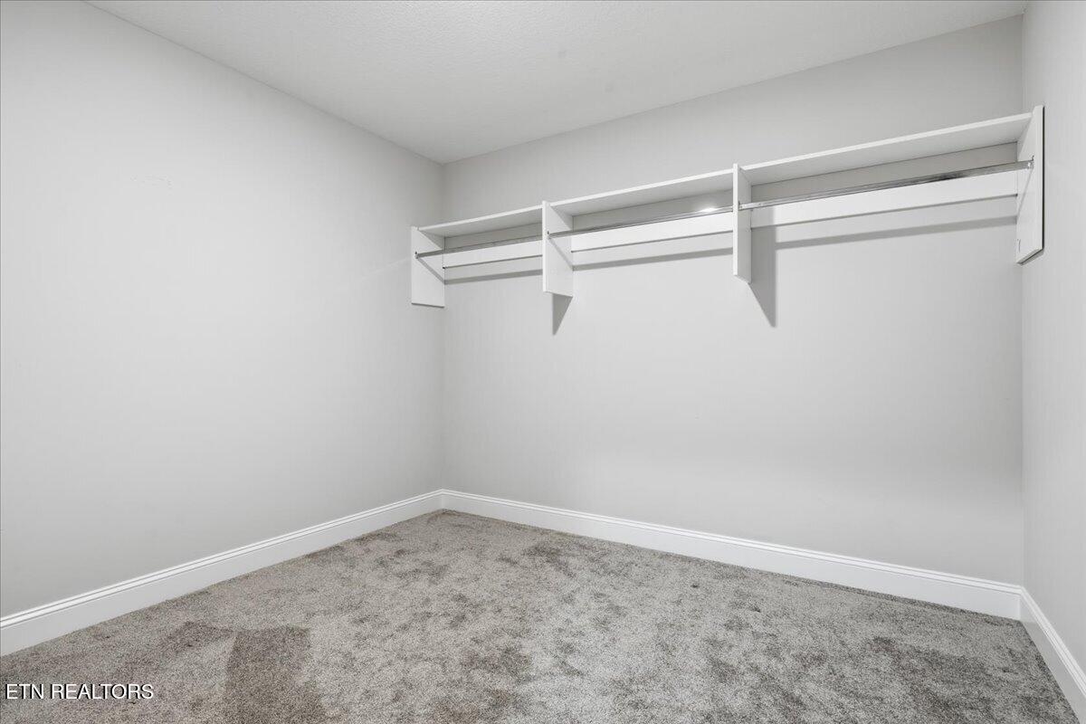 7434 Willow Path Lane Knoxville TN 37918
