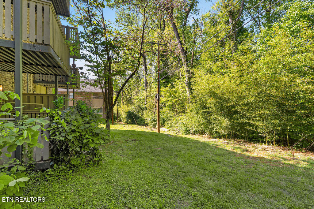 3636 Taliluna Avenue Knoxville TN 37919