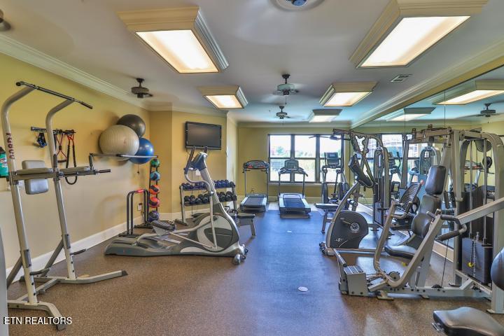 445 W Blount Avenue Knoxville TN 37920