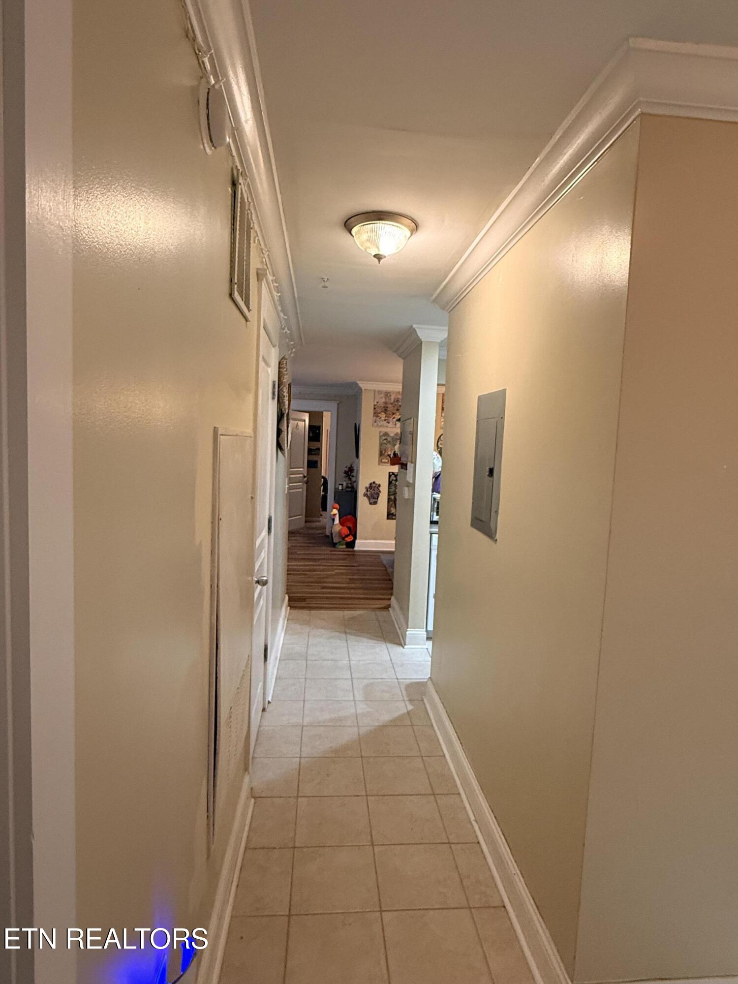 3708 Spruce Ridge Way Knoxville TN 37920