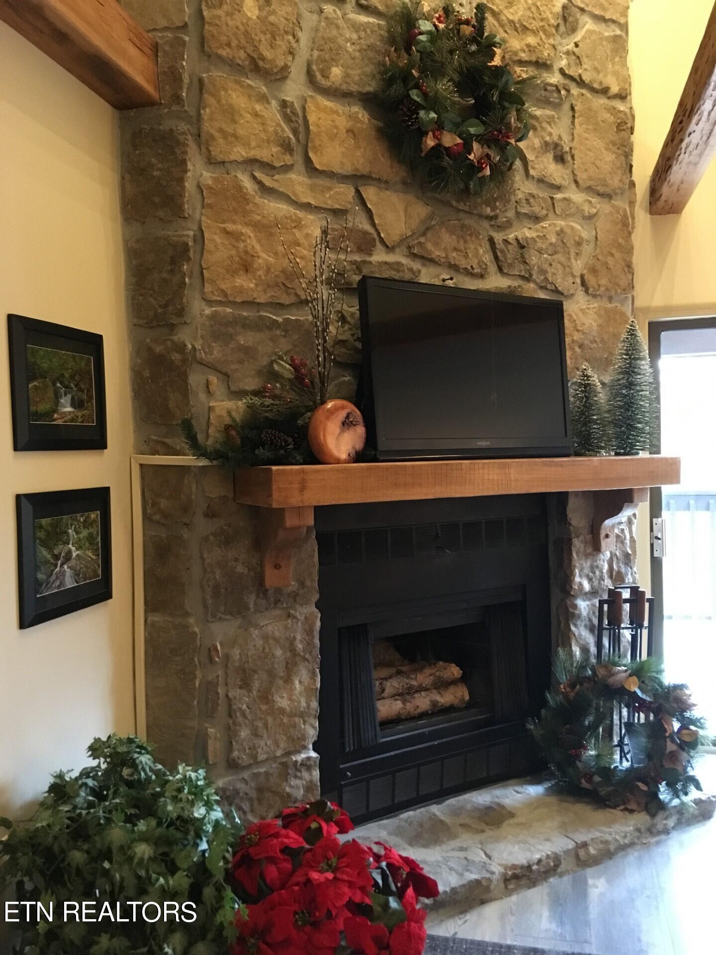 1155 Upper Alpine Way Gatlinburg TN 37738