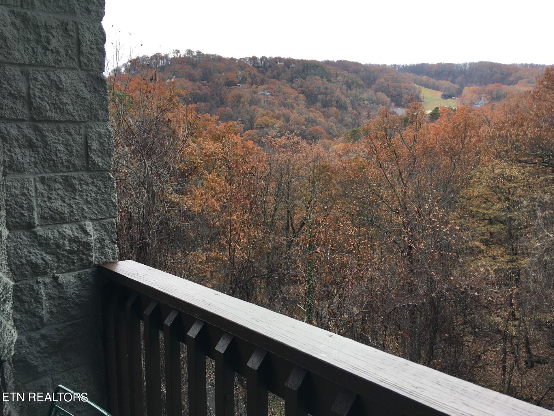 1155 Upper Alpine Way Gatlinburg TN 37738