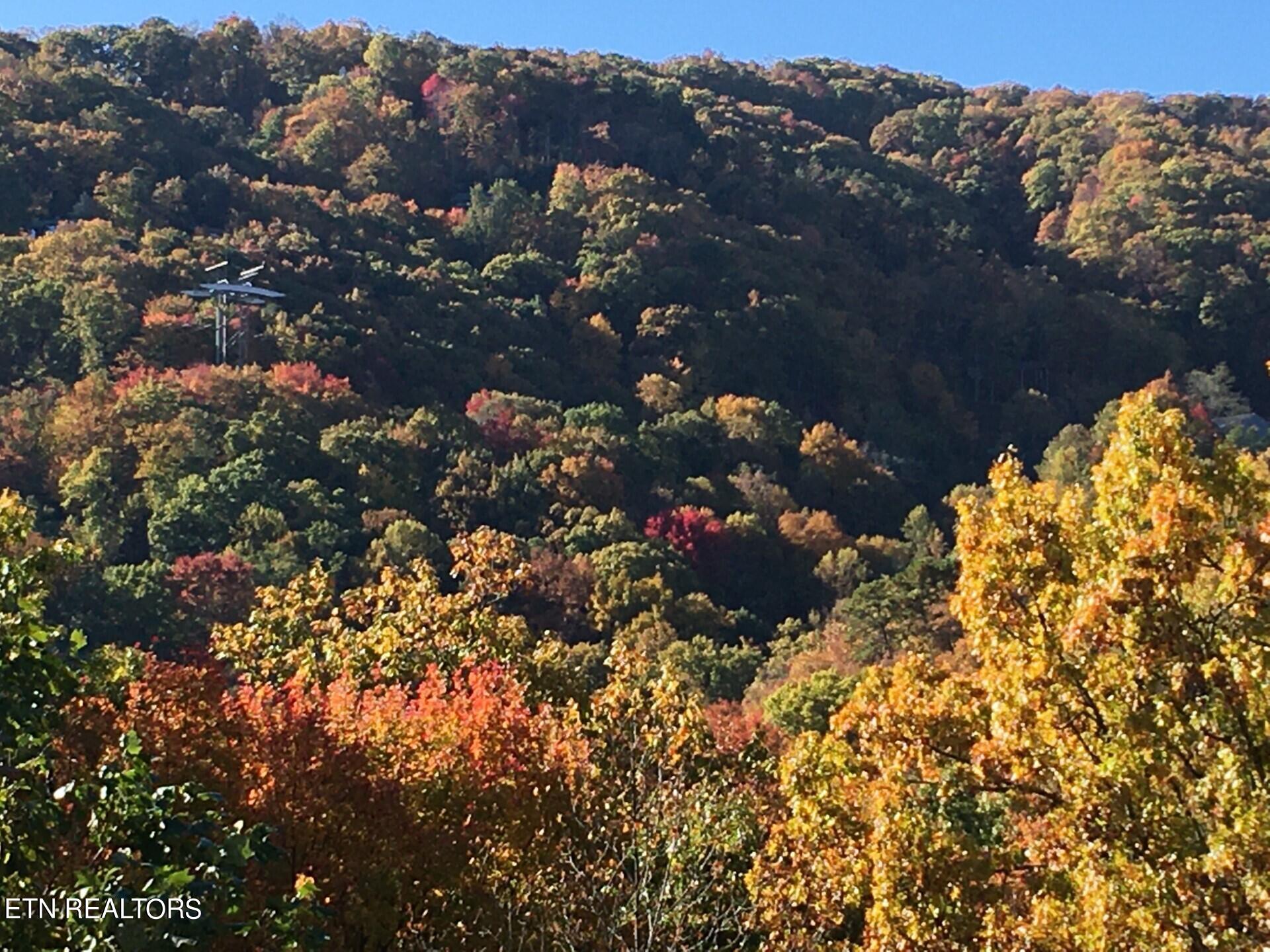 1155 Upper Alpine Way Gatlinburg TN 37738