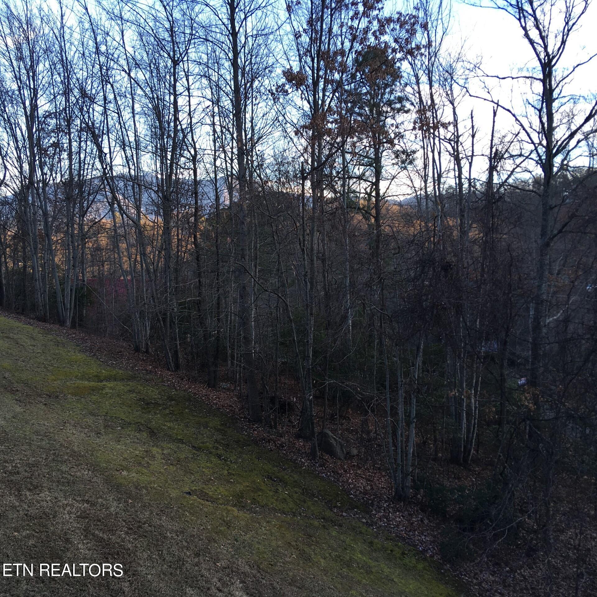 1155 Upper Alpine Way Gatlinburg TN 37738