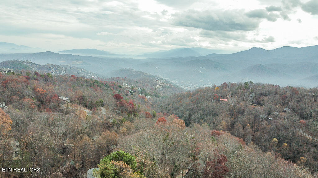 1155 Upper Alpine Way Gatlinburg TN 37738