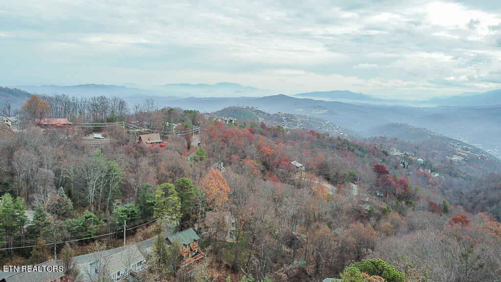 1155 Upper Alpine Way Gatlinburg TN 37738