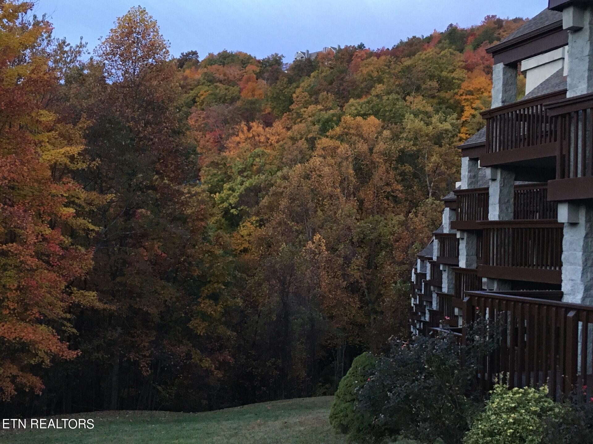 1155 Upper Alpine Way Gatlinburg TN 37738