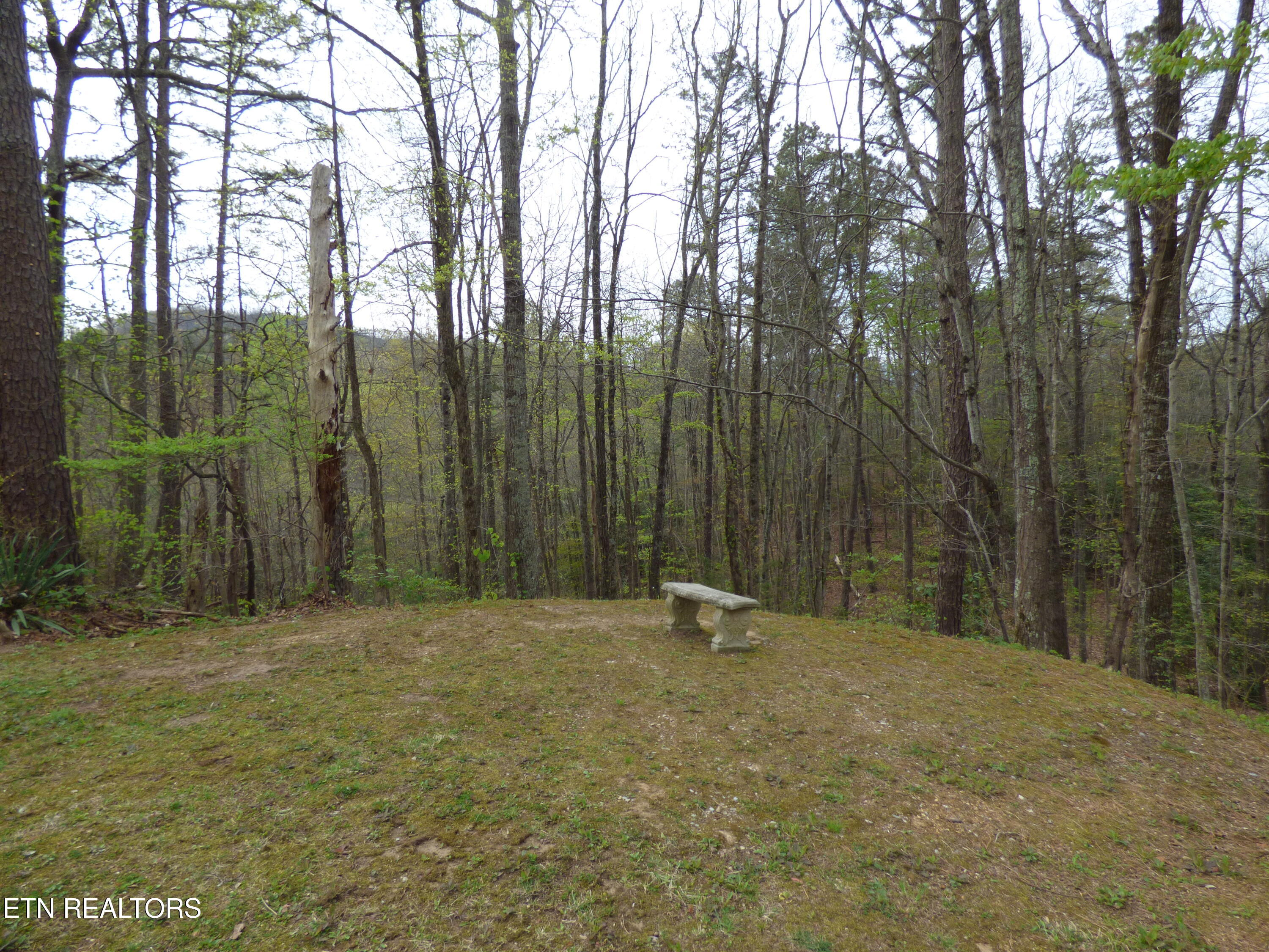 1081 Cove Road Sevierville TN 37876