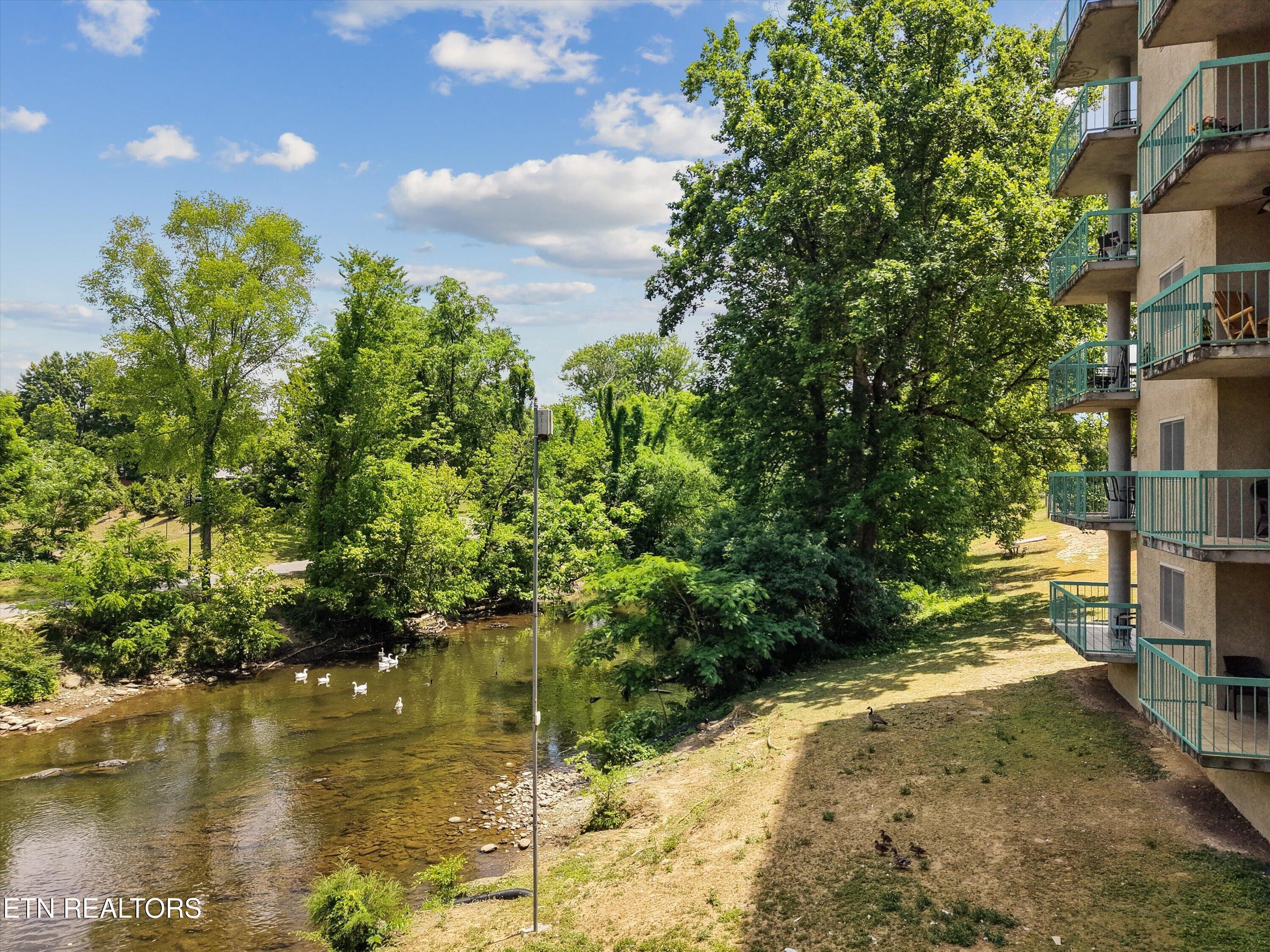 3215 N River Road Pigeon Forge TN 37863