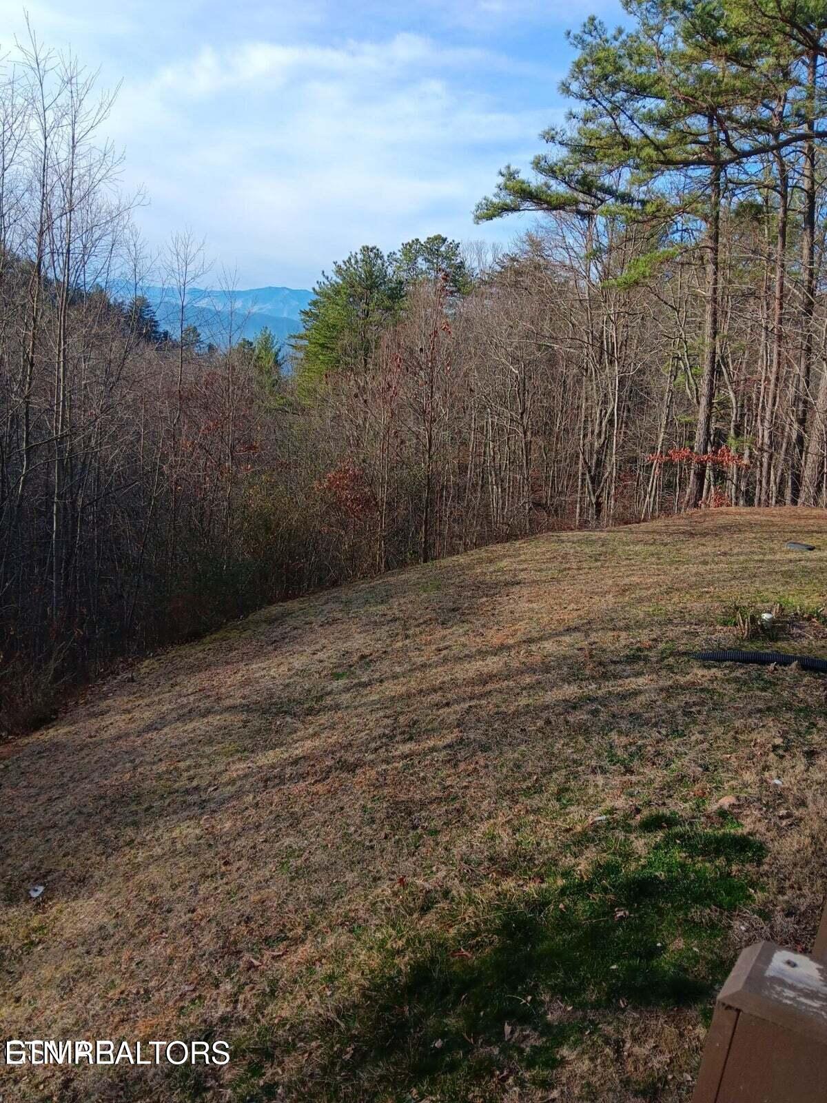 1081 Cove Road Sevierville TN 37876