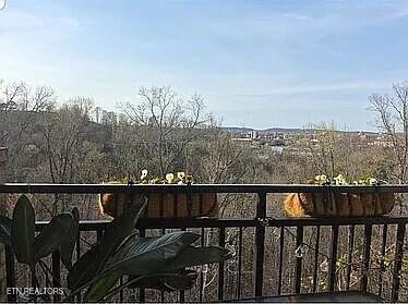 3708 Spruce Ridge Way Knoxville TN 37920