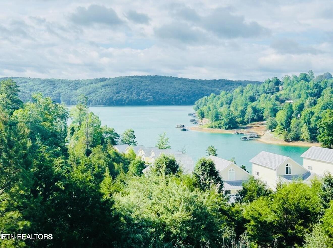 134 E Harbor View Lane Lafollette TN 37766