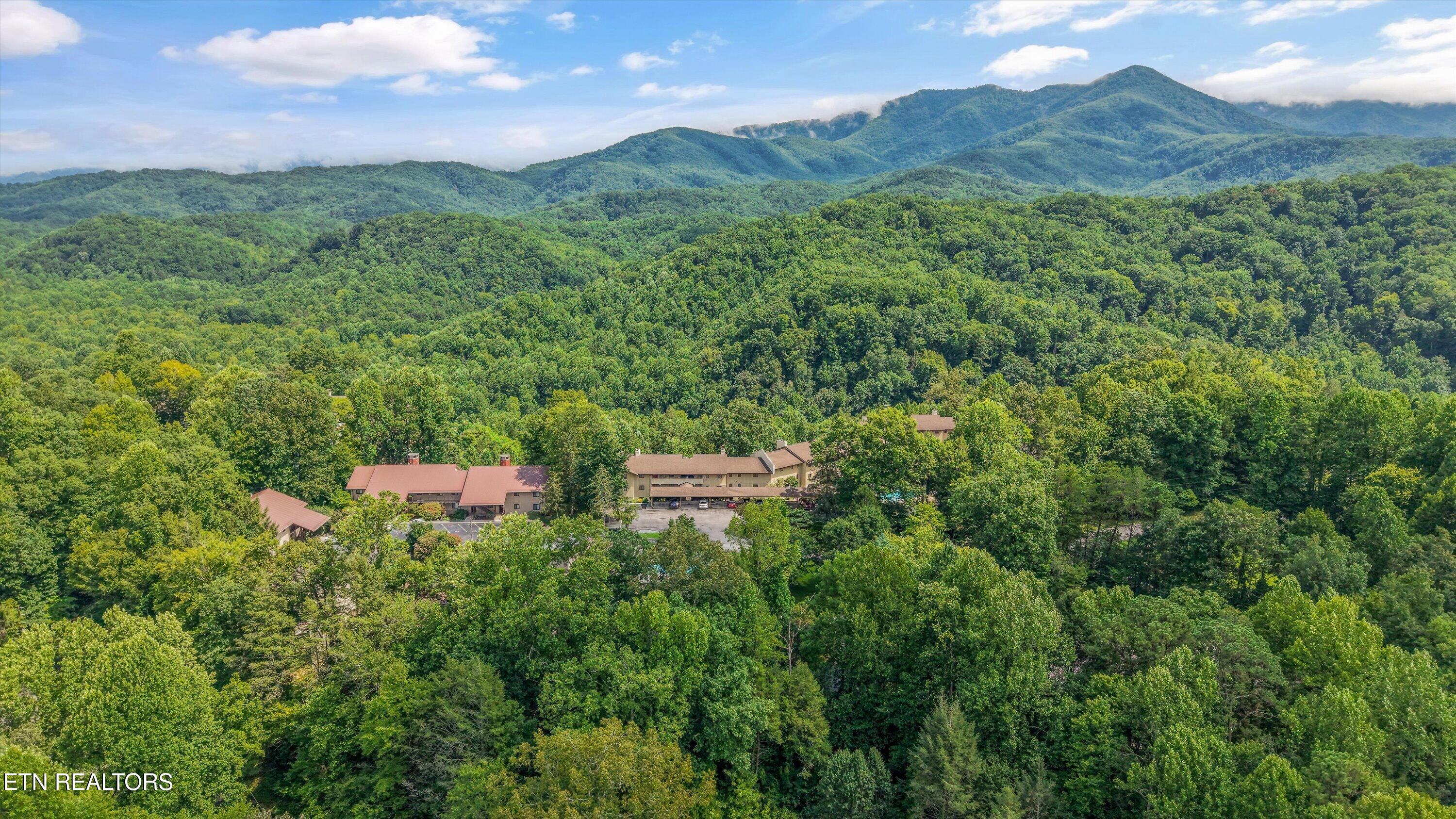 221 Woodland Road Gatlinburg TN 37738