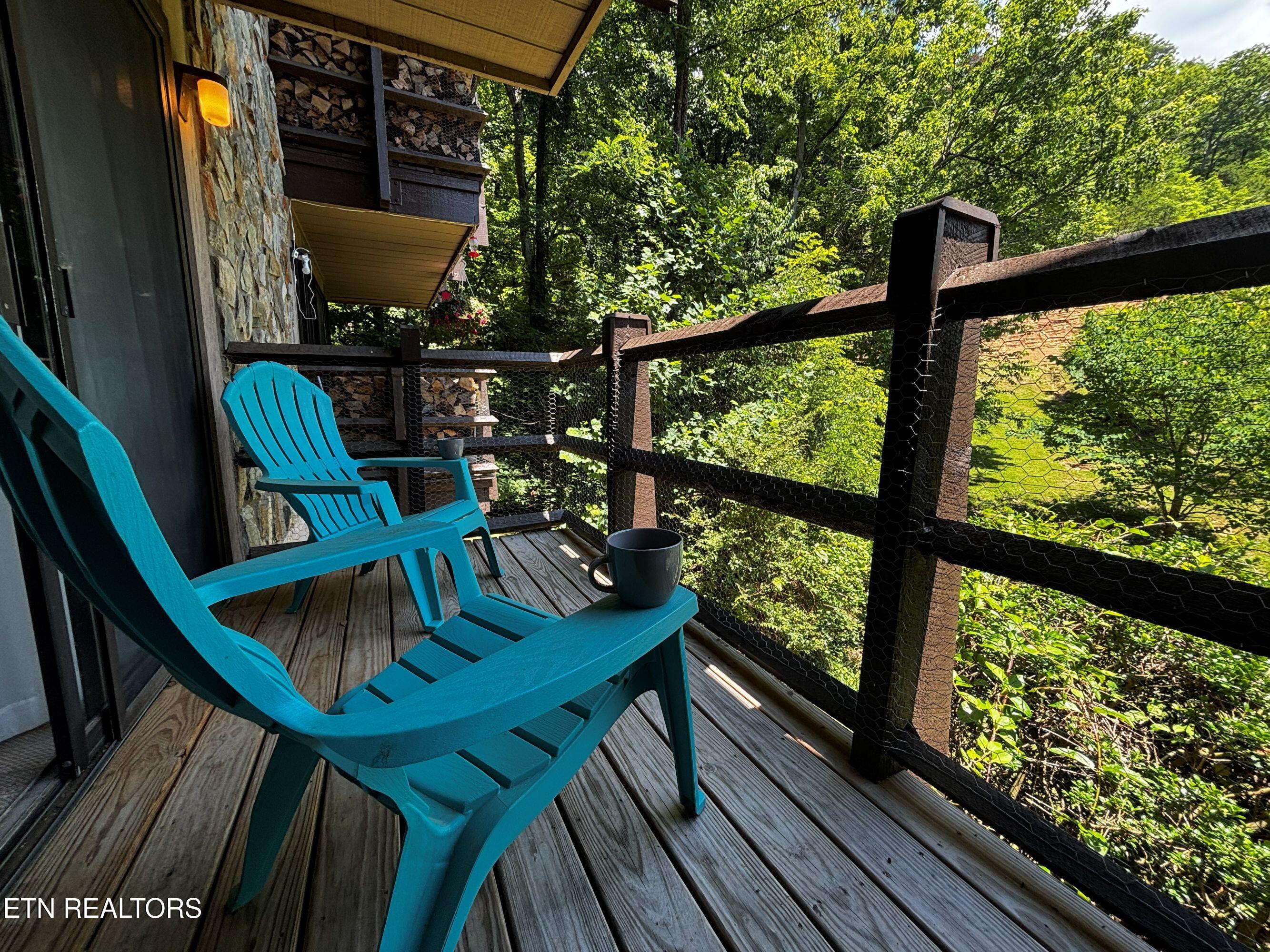 1081 Cove Road Sevierville TN 37876