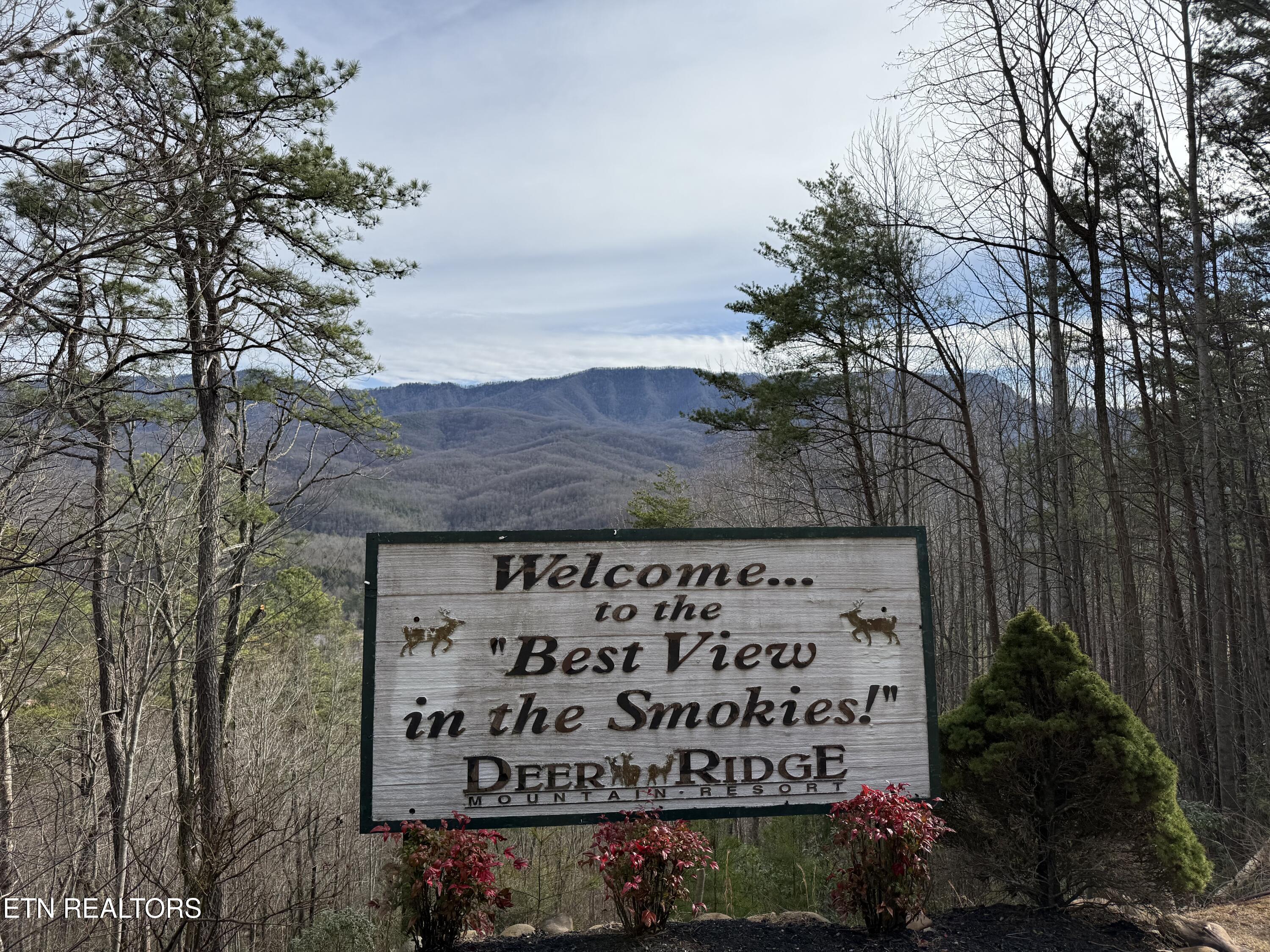 3710 Weber Road Gatlinburg TN 37738