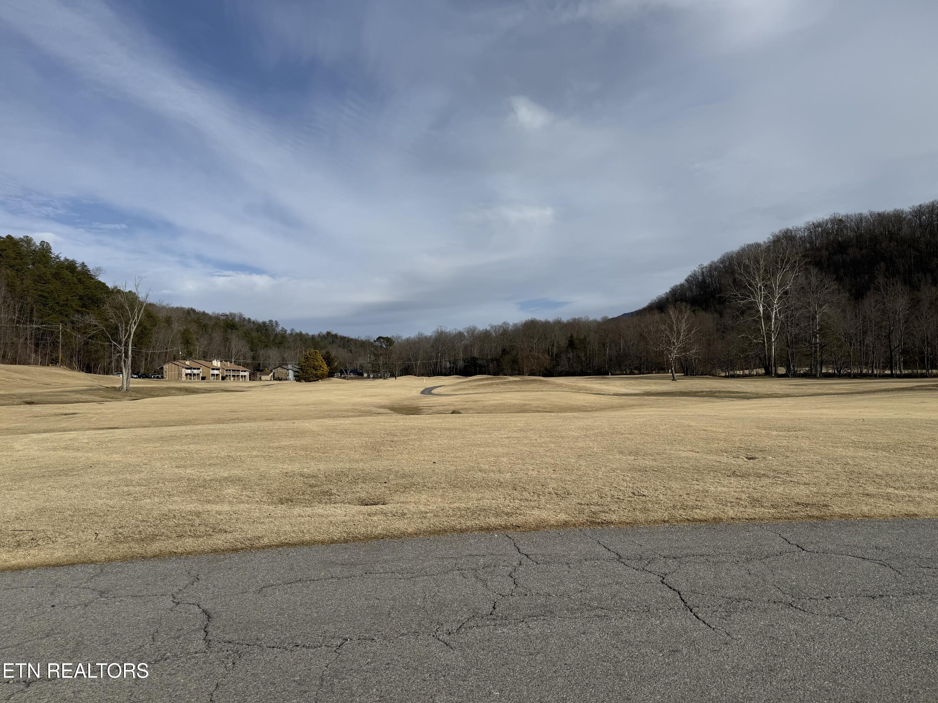 3710 Weber Road Gatlinburg TN 37738