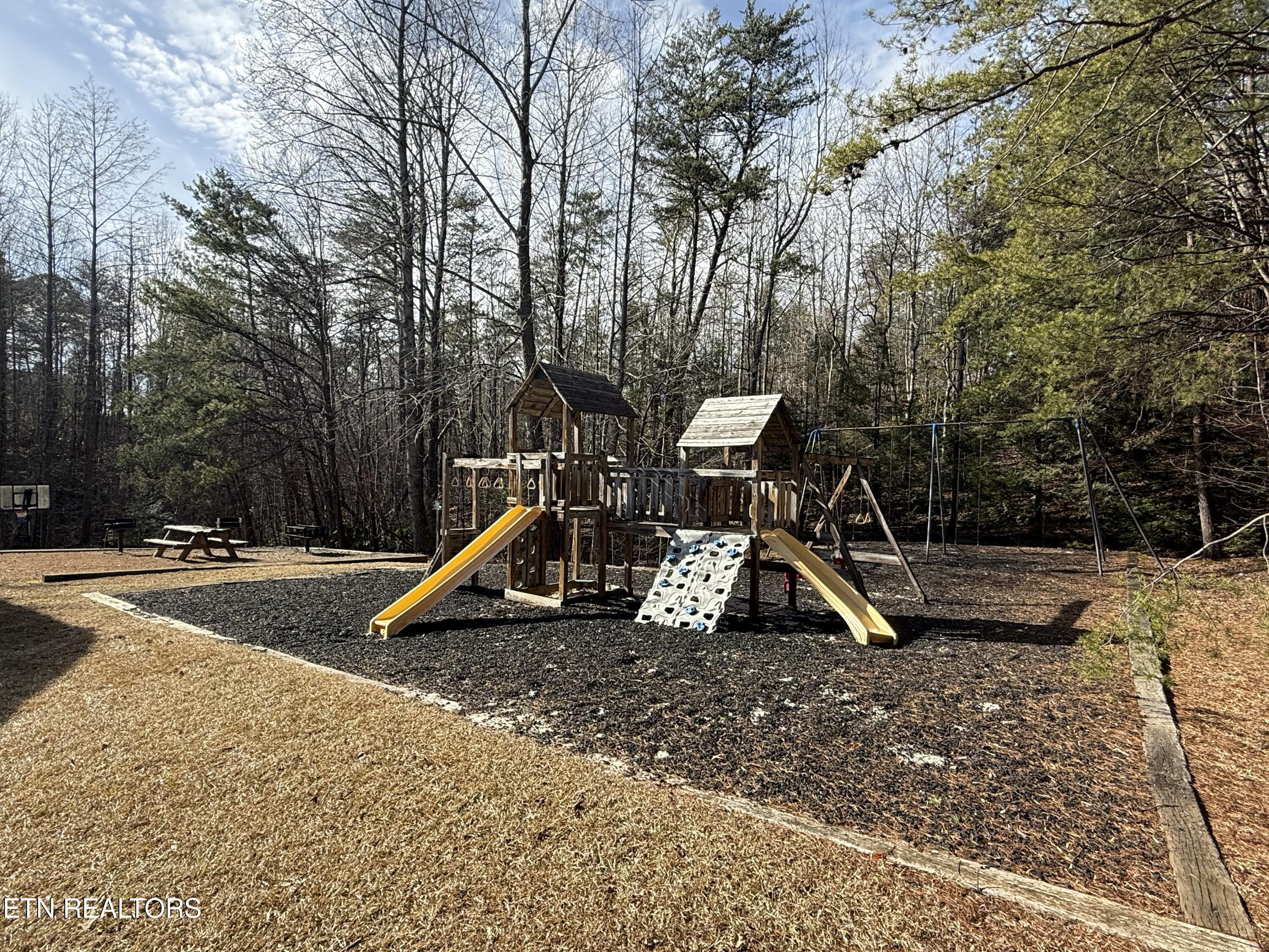 3710 Weber Road Gatlinburg TN 37738