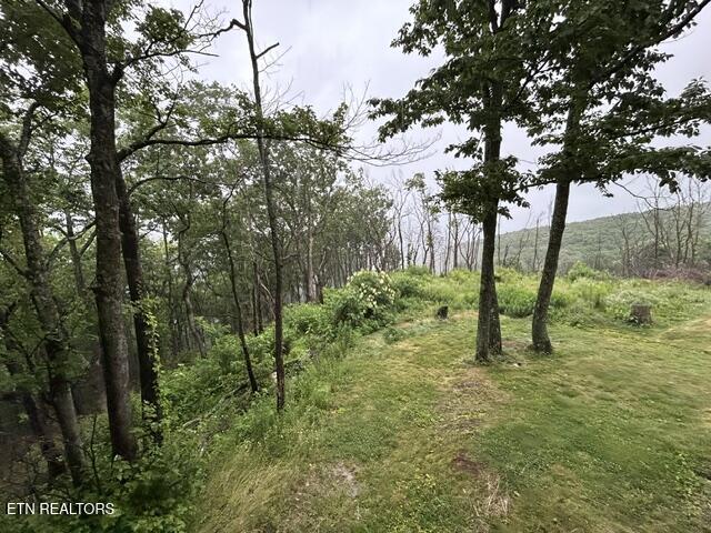 391 Moytoy Road Crab Orchard TN 37723