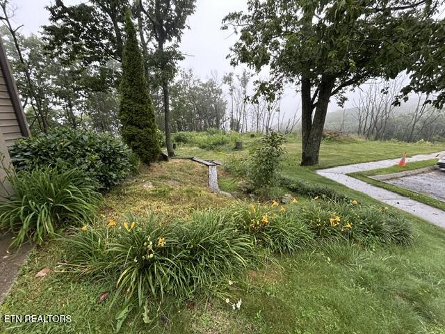 391 Moytoy Road Crab Orchard TN 37723
