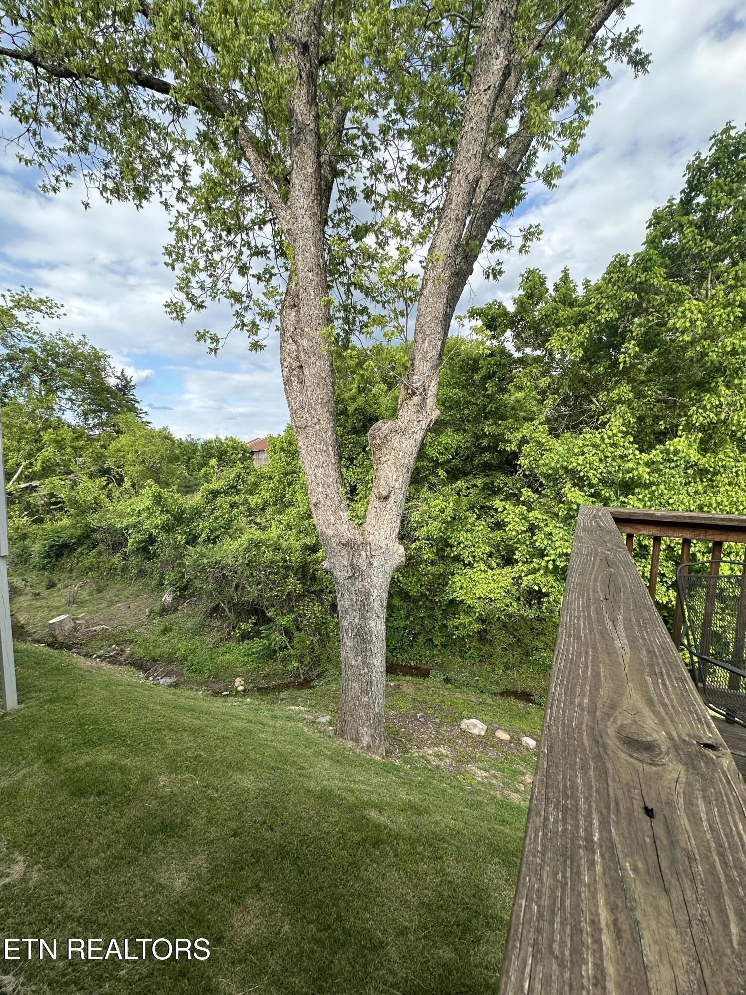 146 Mayapple Way Sevierville TN 37862
