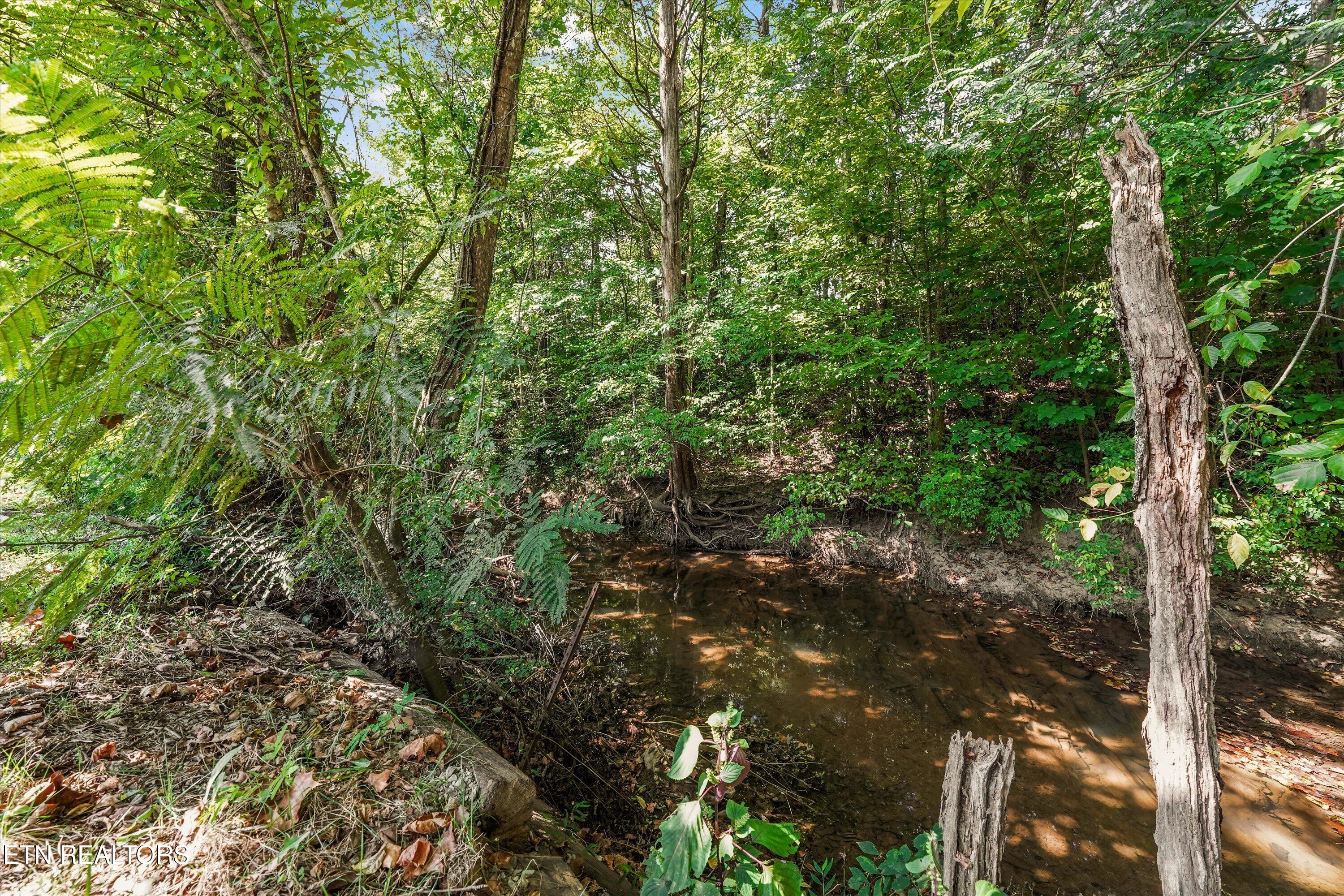 7534 Creek Song Court Knoxville TN 37920