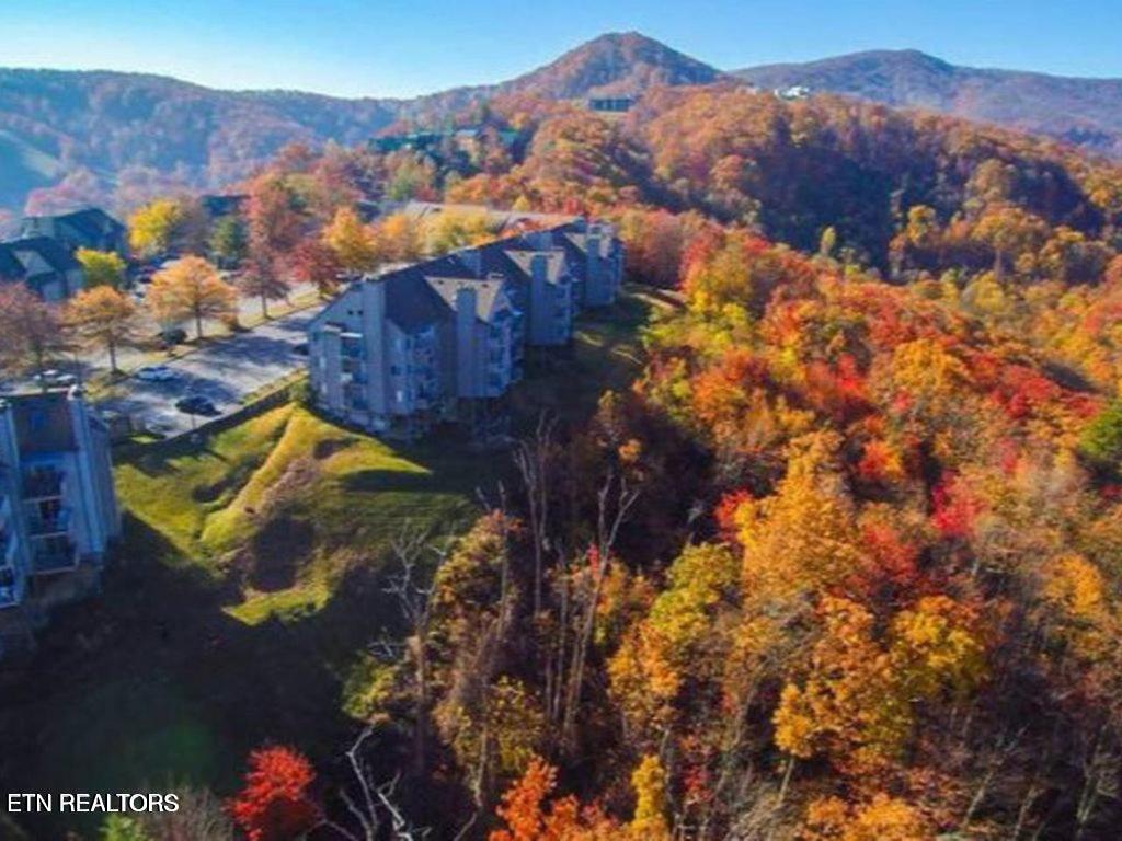 1260 Ski View Drive Gatlinburg TN 37738