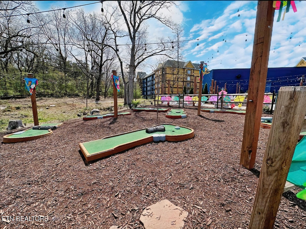 225 Collier Drive Sevierville TN 37862