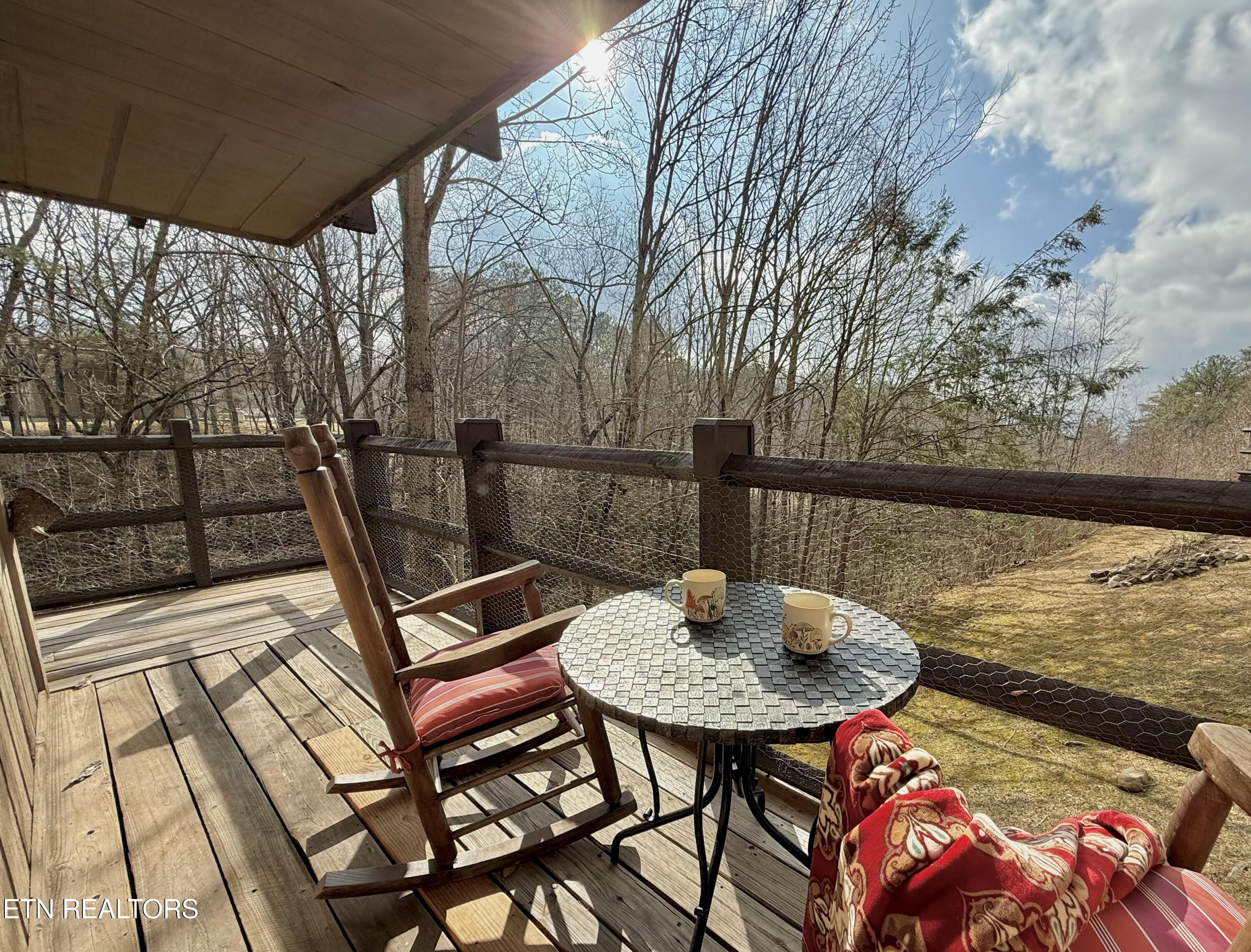 1081 Cove Road Sevierville TN 37876