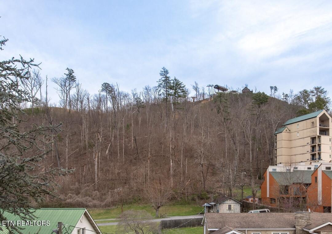 215 Woliss Lane Gatlinburg TN 37738