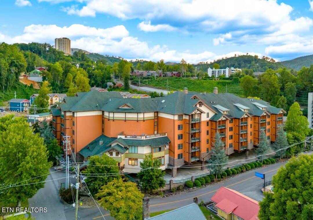 215 Woliss Lane Gatlinburg TN 37738