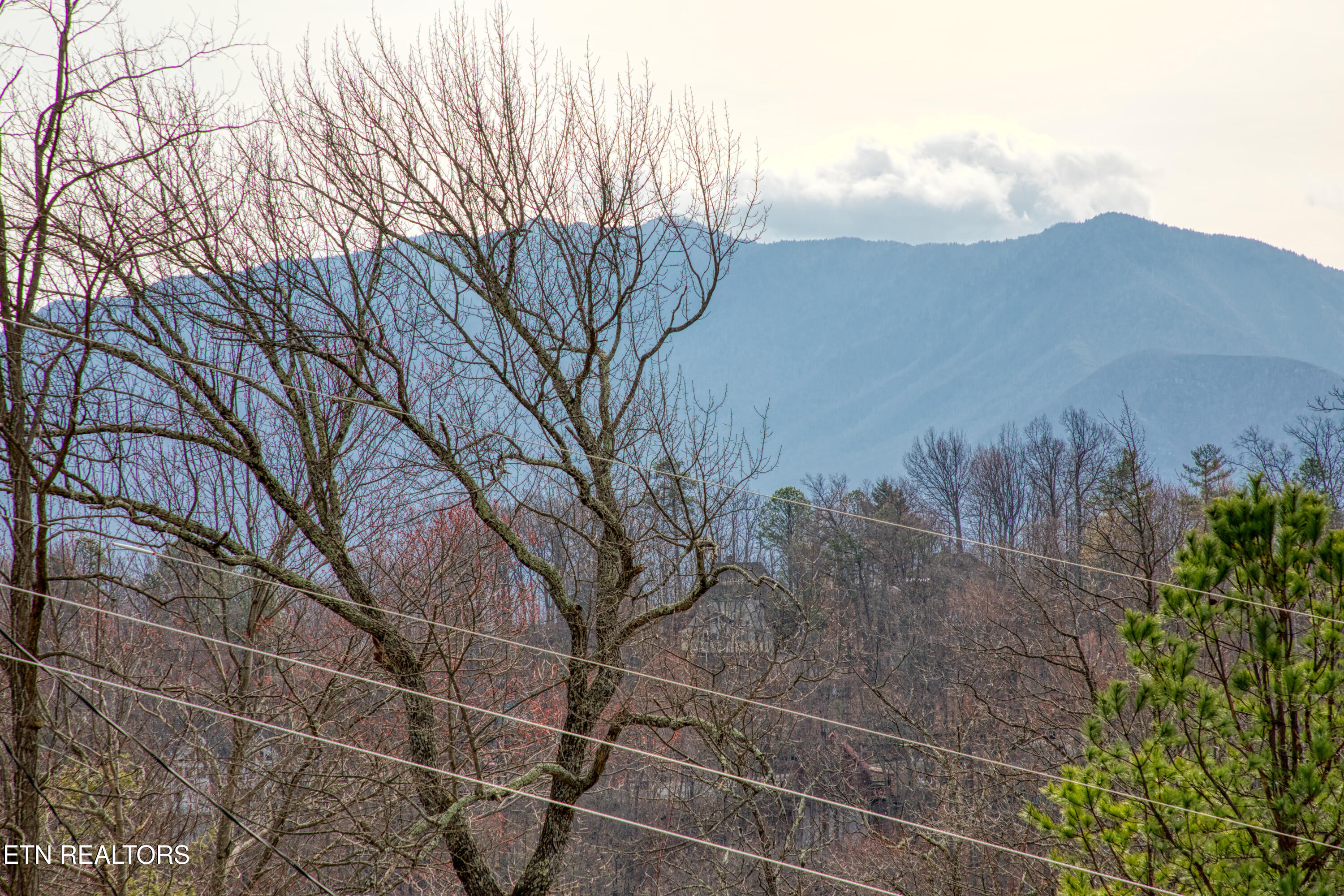1155 Upper Alpine Way Gatlinburg TN 37738