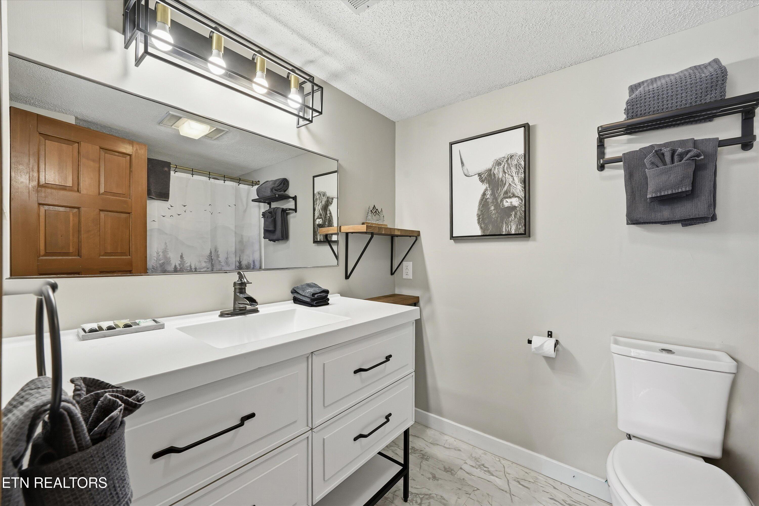 1155 Upper Alpine Way Gatlinburg TN 37738
