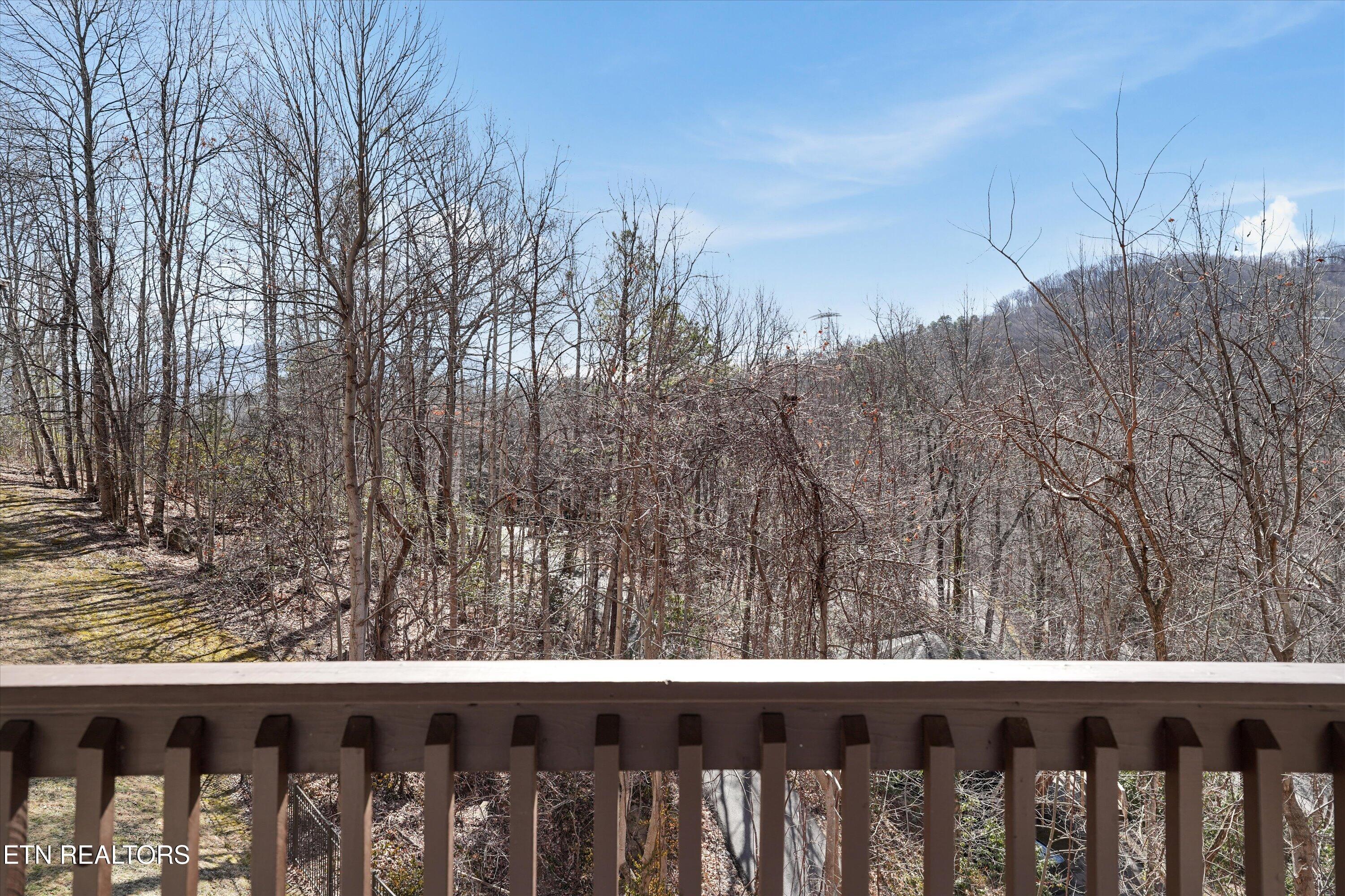 1155 Upper Alpine Way Gatlinburg TN 37738